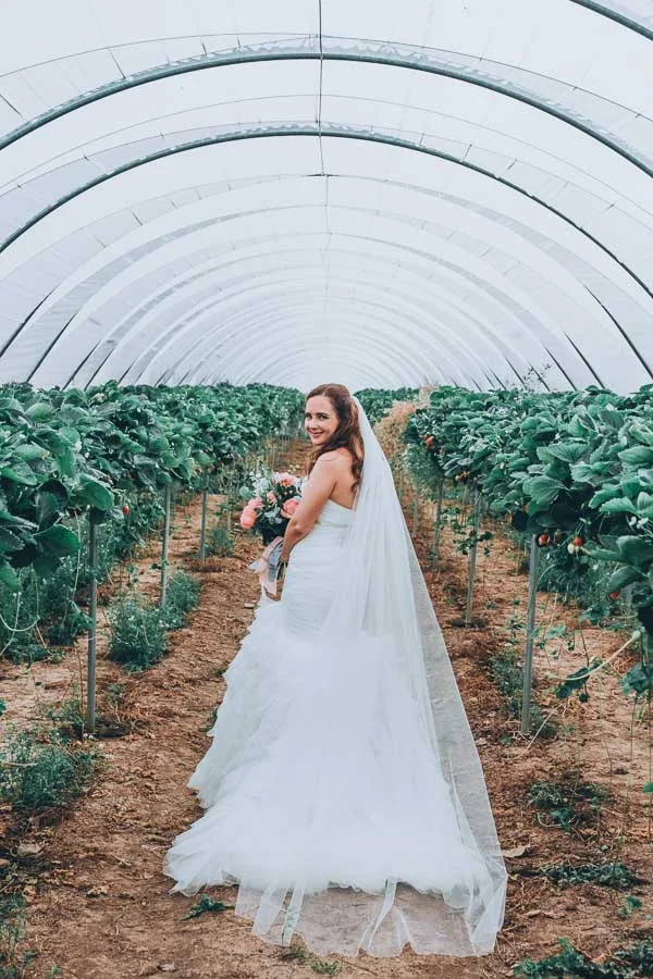 Norwood Park Wedding