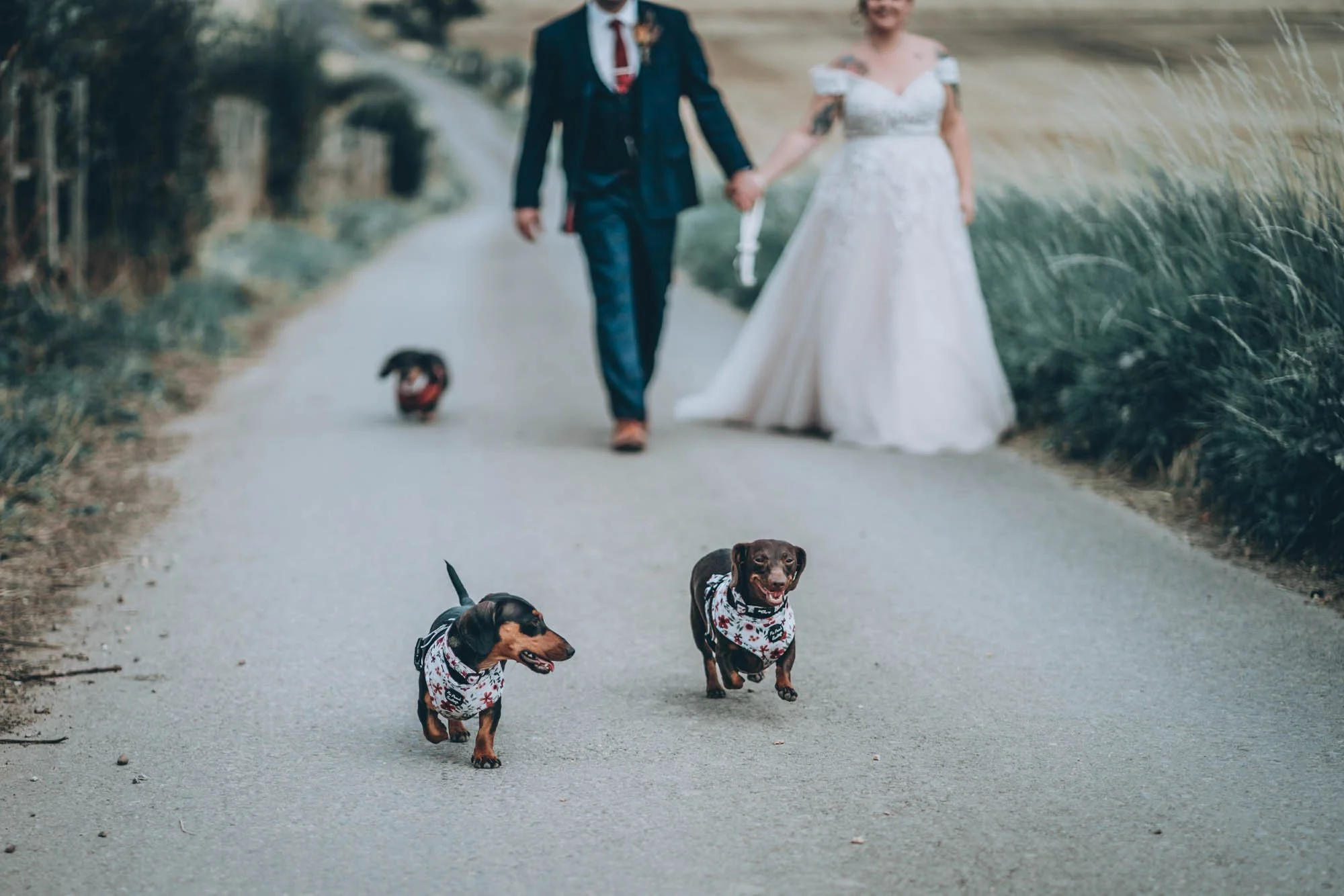 Swancar Farm - Summer Weddings