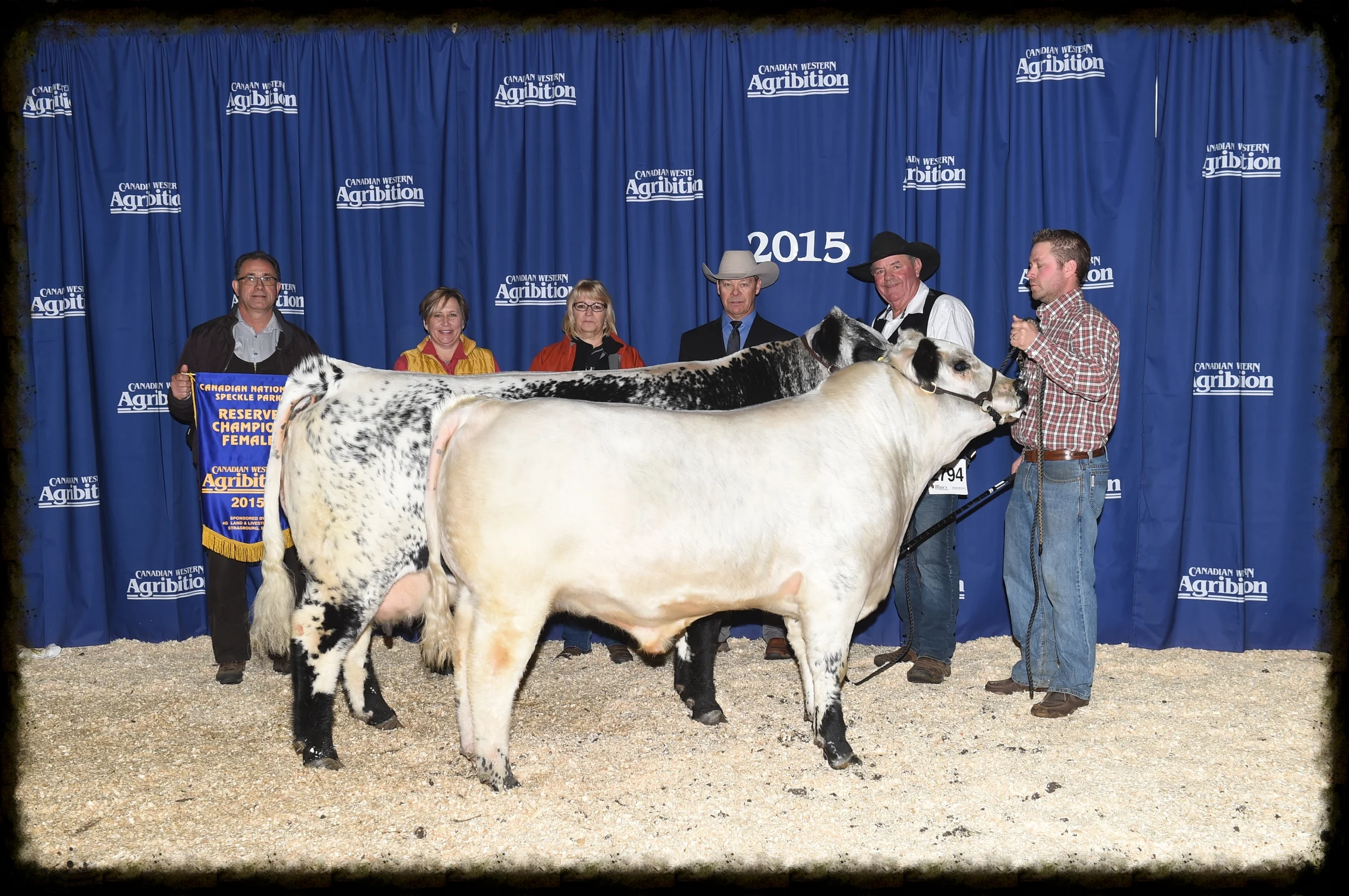 Senior Champion Female & Reserve Champion Female, CWA 2015