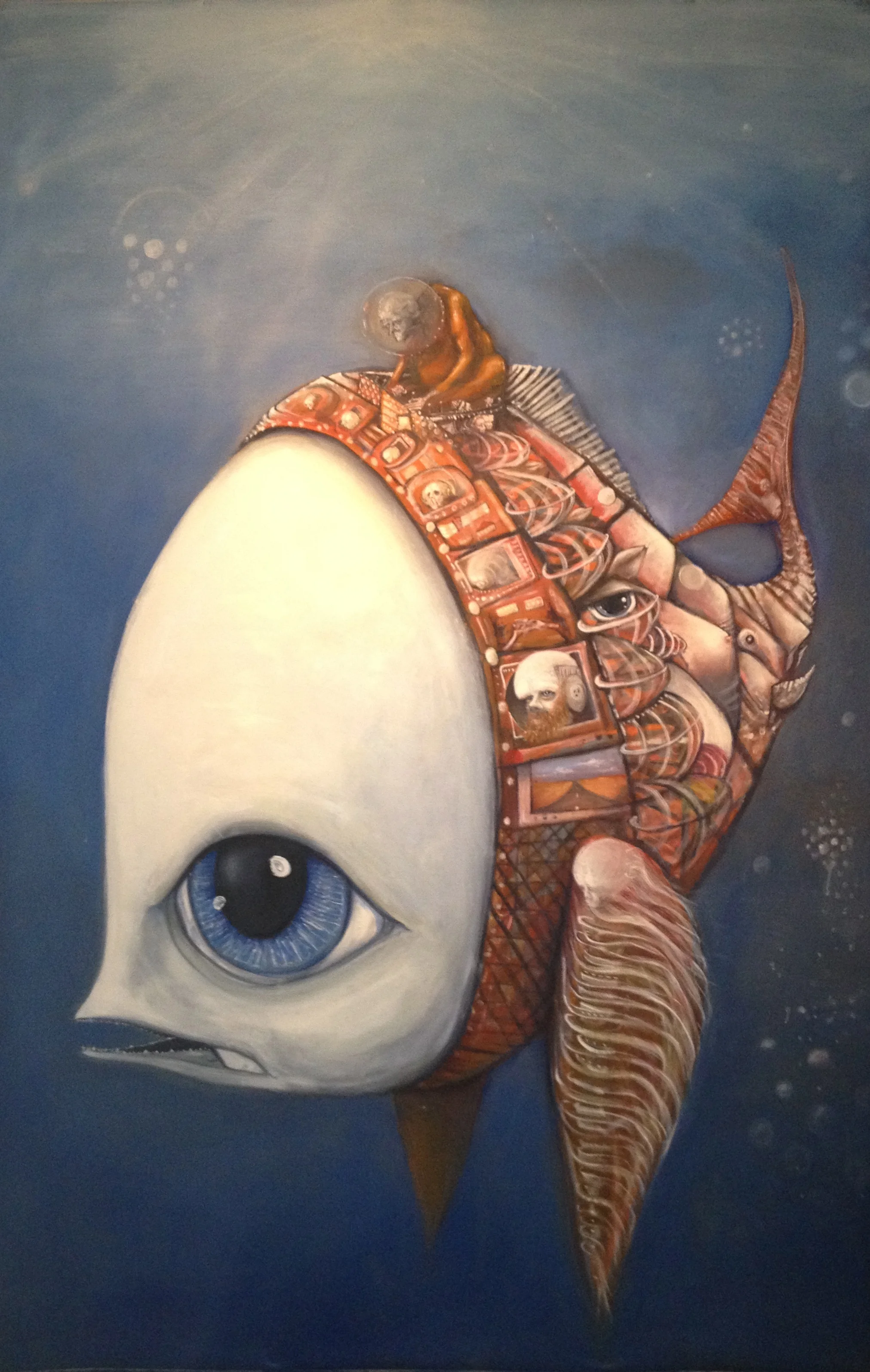 Riding Fish