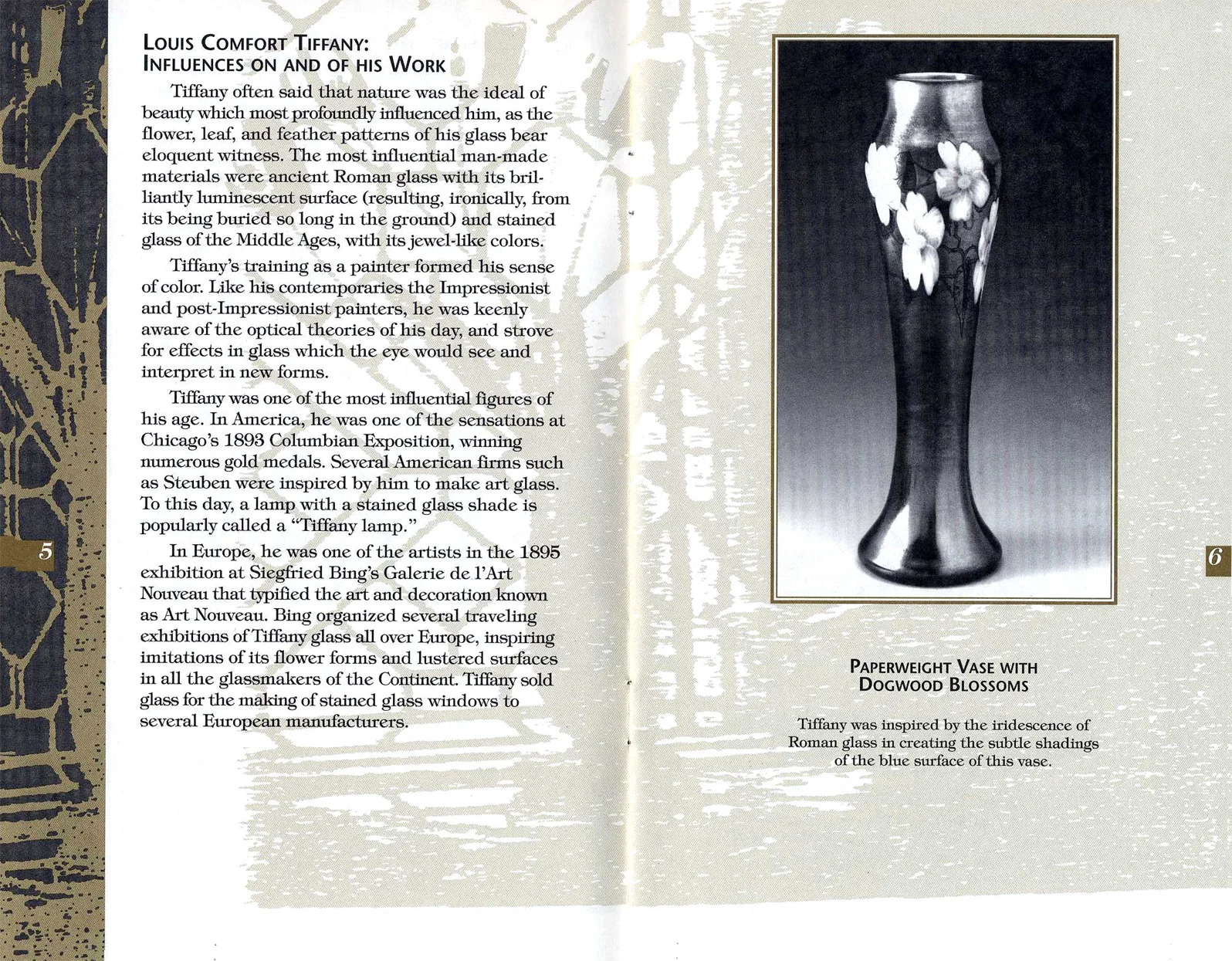 tiffany of lights c.jpg