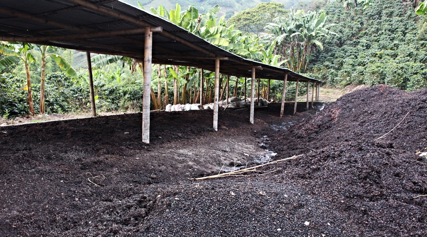 Worm composting: main ingredient coffee skin