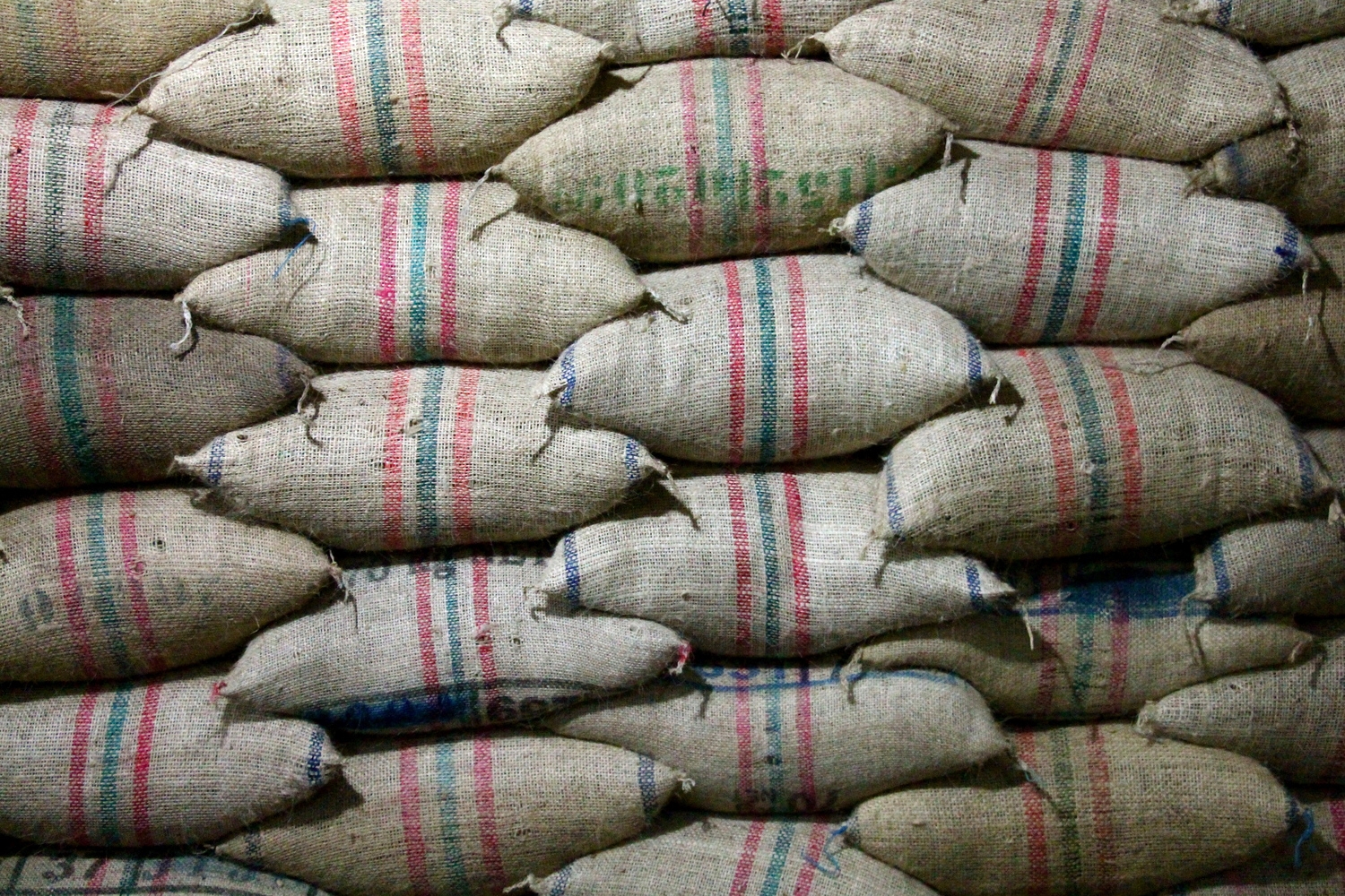 Bags of pergamino coffee ready to be taken to the mill
