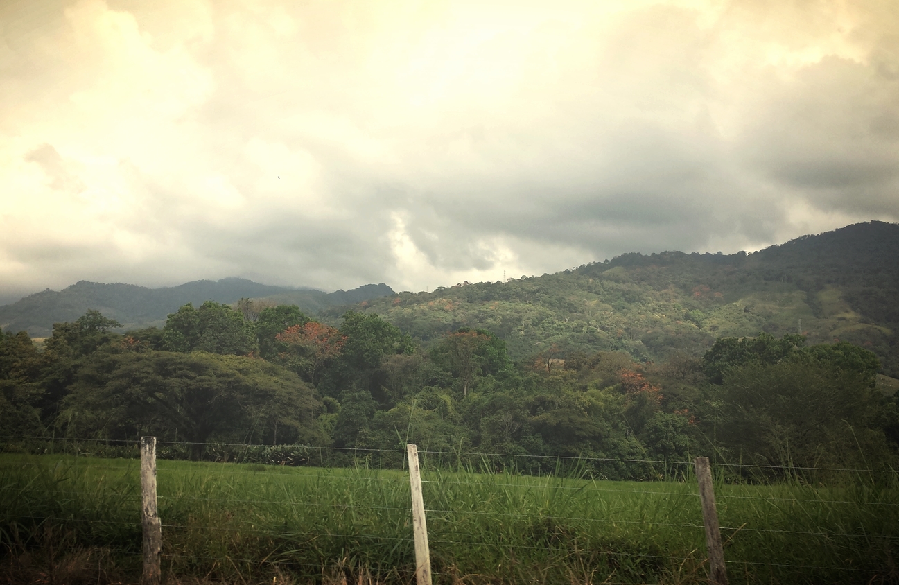 Green hills in Portuguesa state