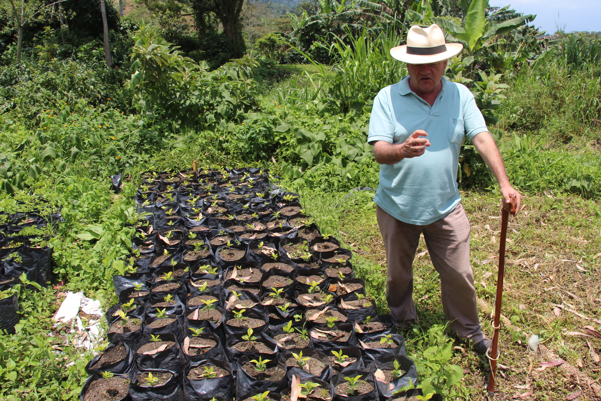 Orlando discusses coffee planting‏