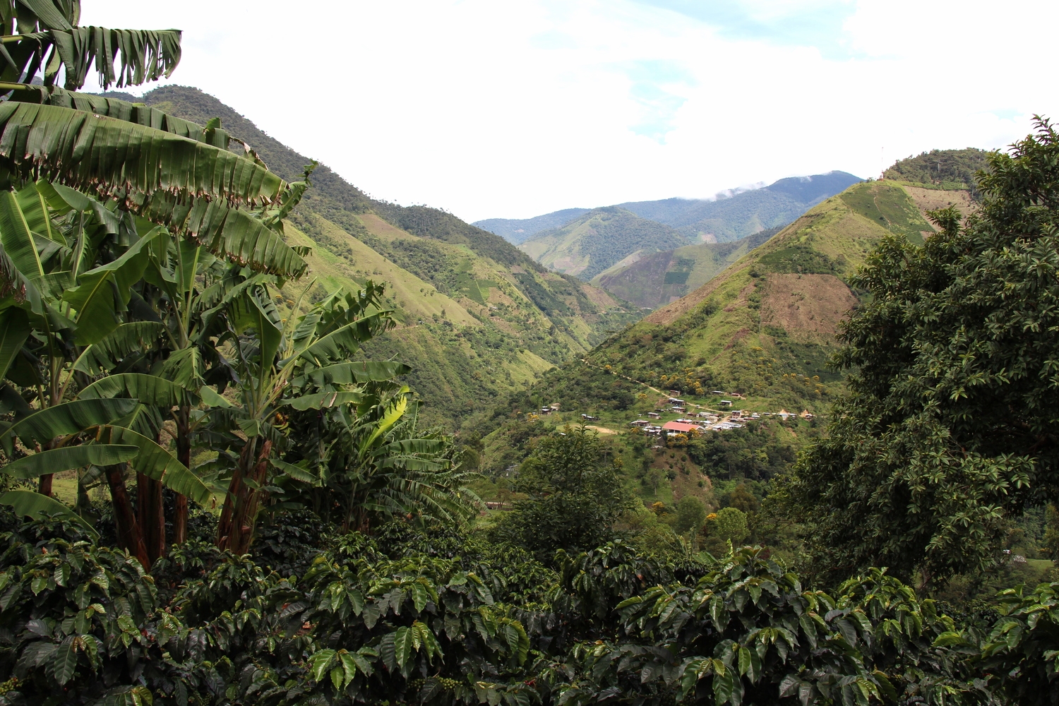 Amazing view from Finca Buenavista