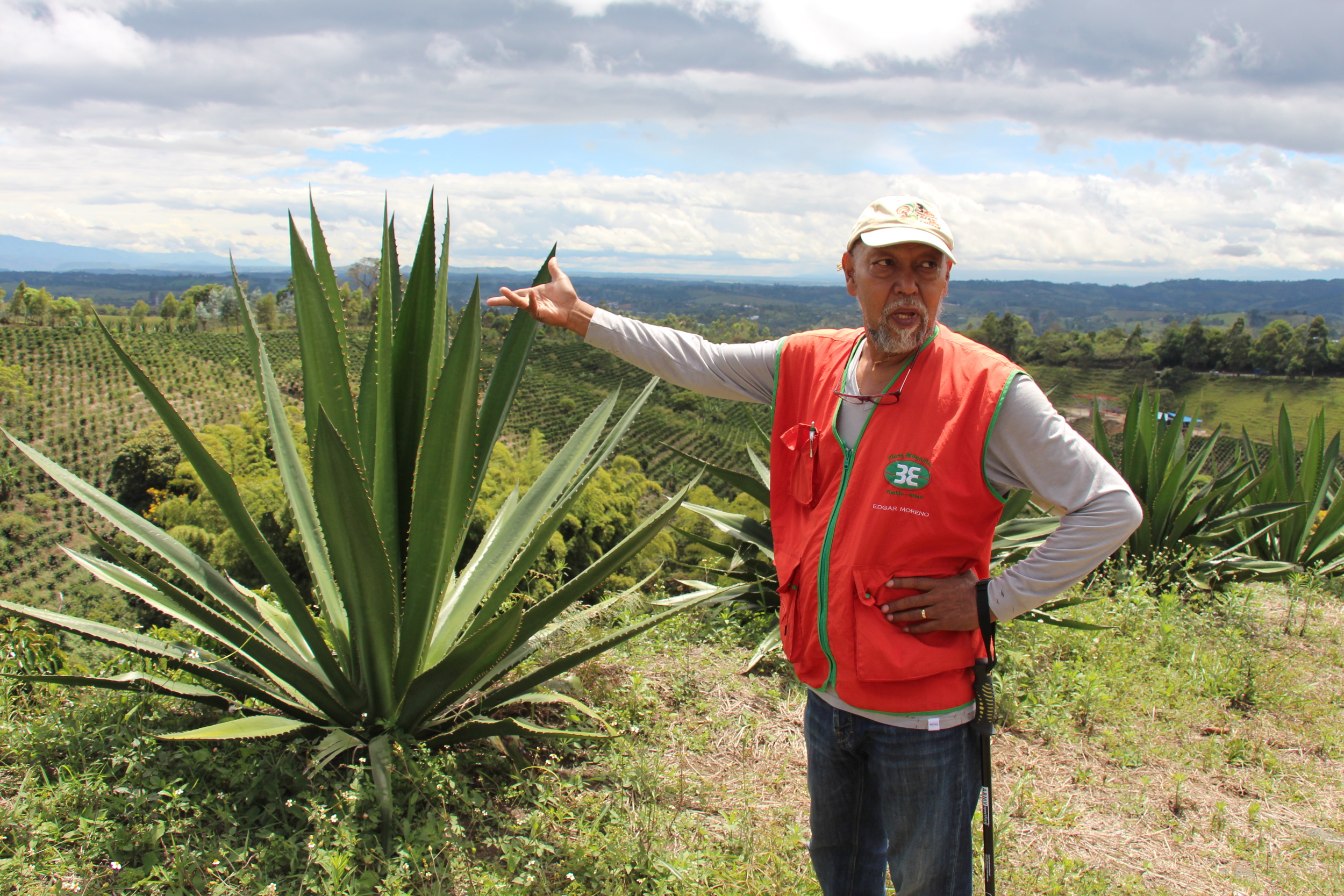 Edgar pointing at a 'fique' plant, commonly used to make coffee bags 