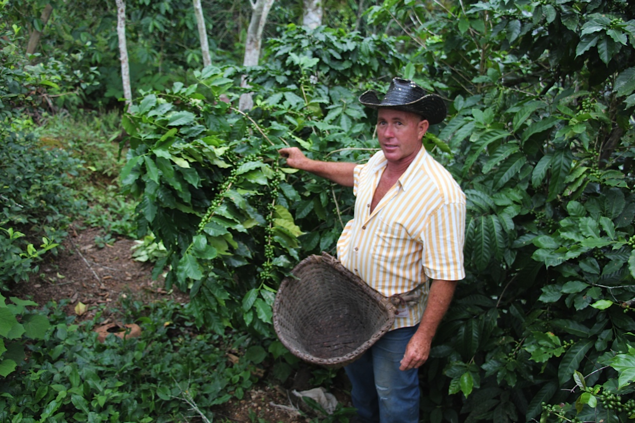 Omar Ramirez's coffe plantation - Escambray