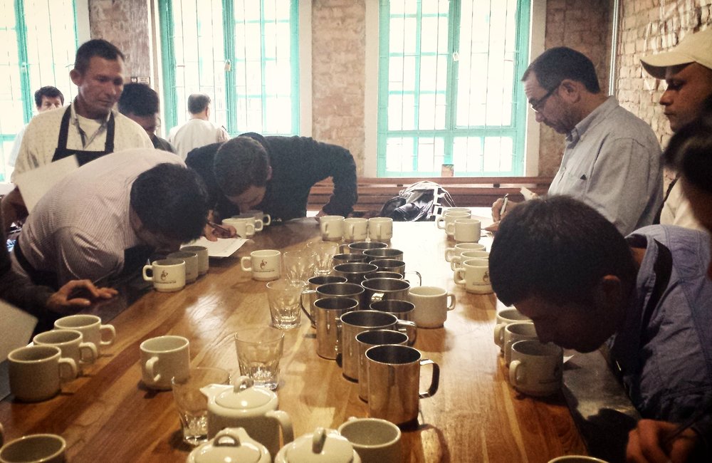 Coffee cupping session