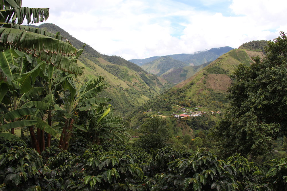 Beautiful view from Finca Buenavista