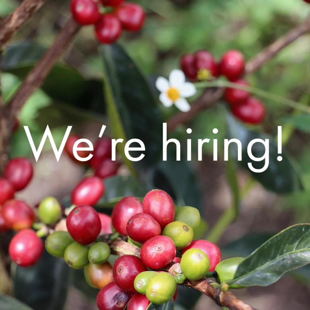 We're hiring! - Roastery Assistant