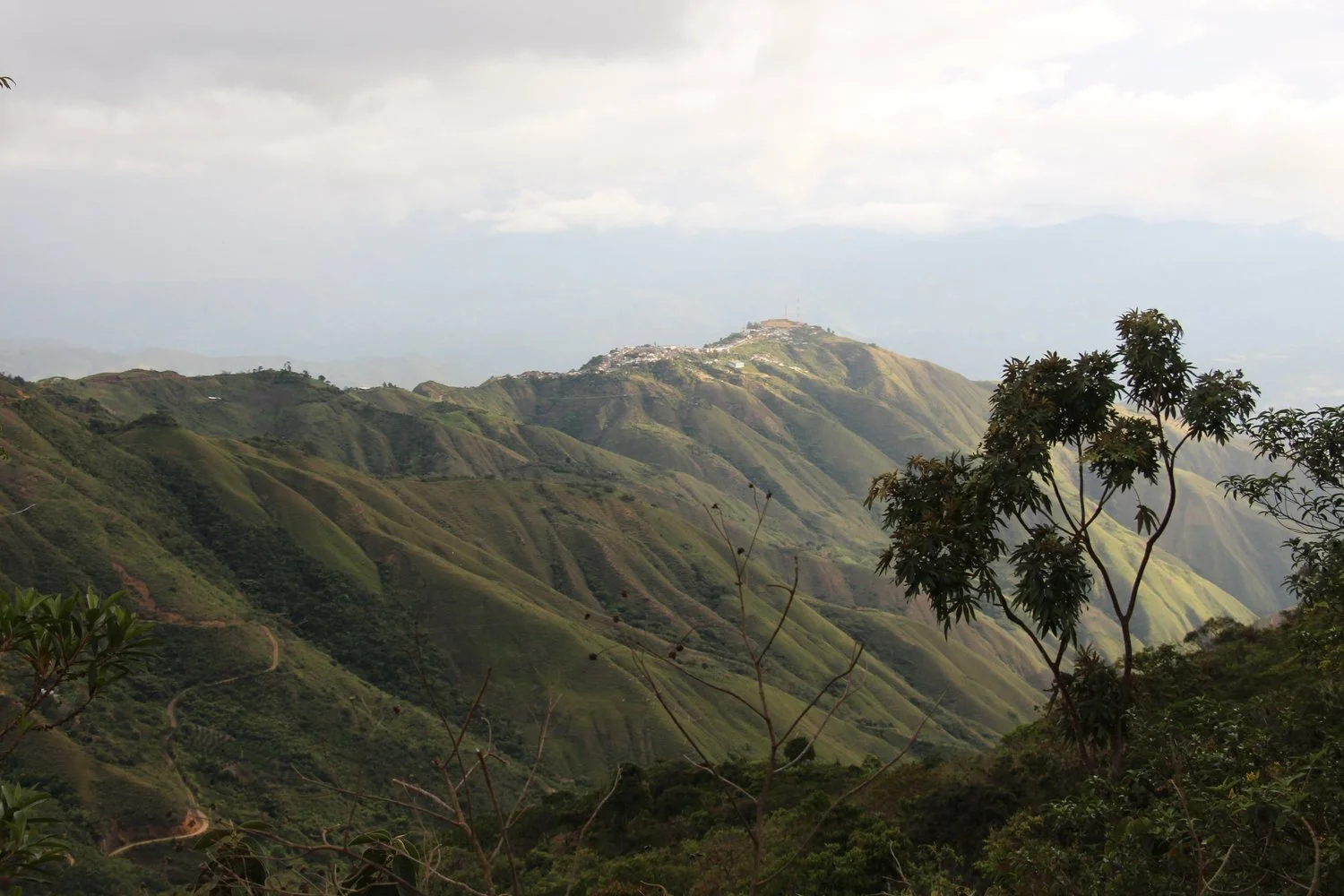 The world’s highest coffee