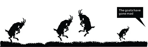 Tales of Colombian Coffee