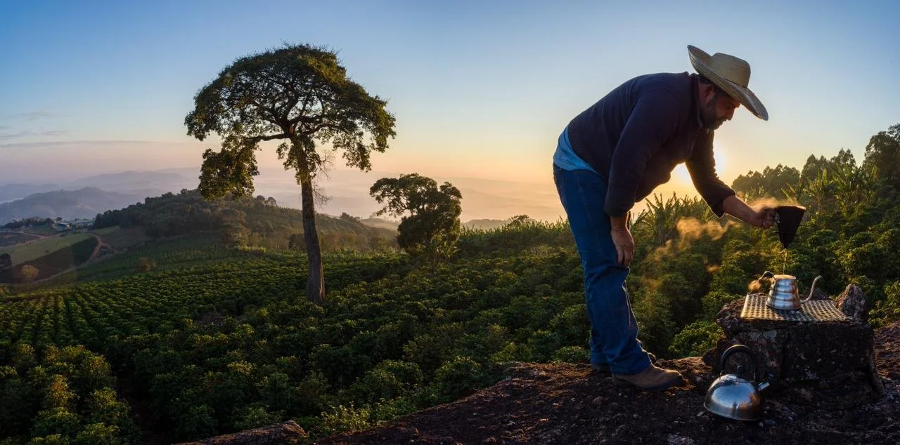 Why are coffee prices going up?