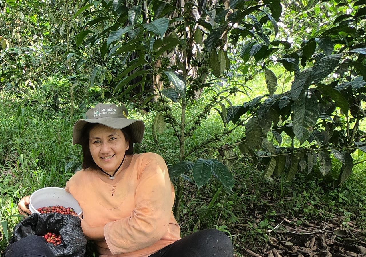 Shade-grown coffee from Ecuador!