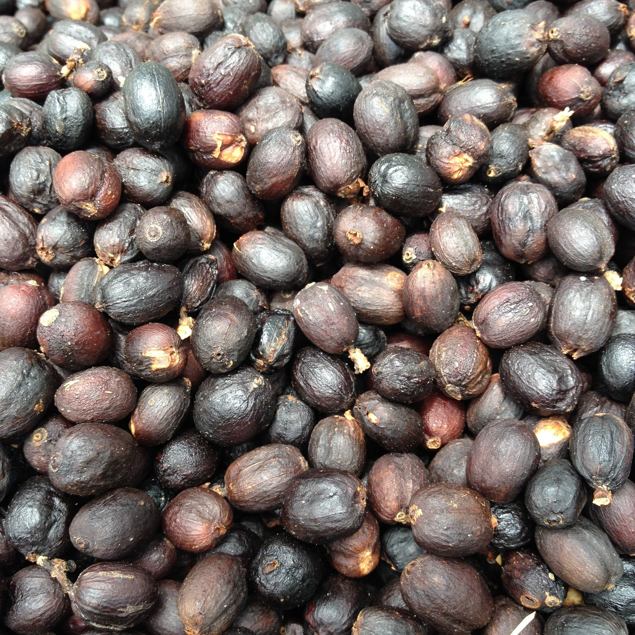 A quick look at coffee processing methods