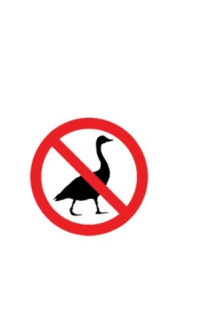 bitmapgoosse.png