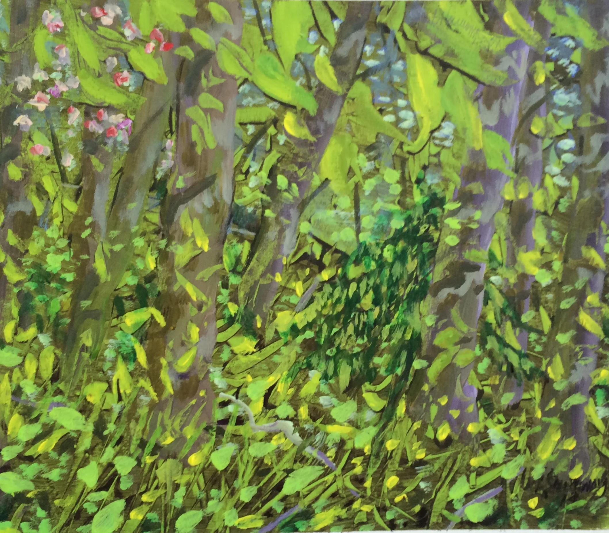 Landscapes — William E. Shumway