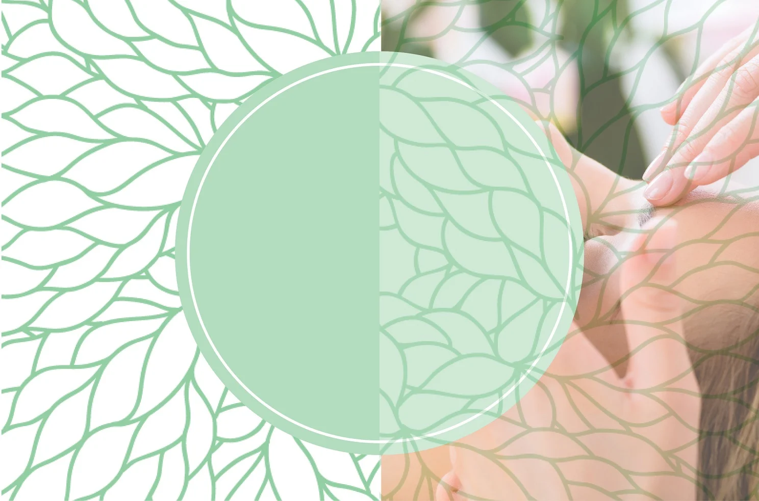 Green banner small.jpg