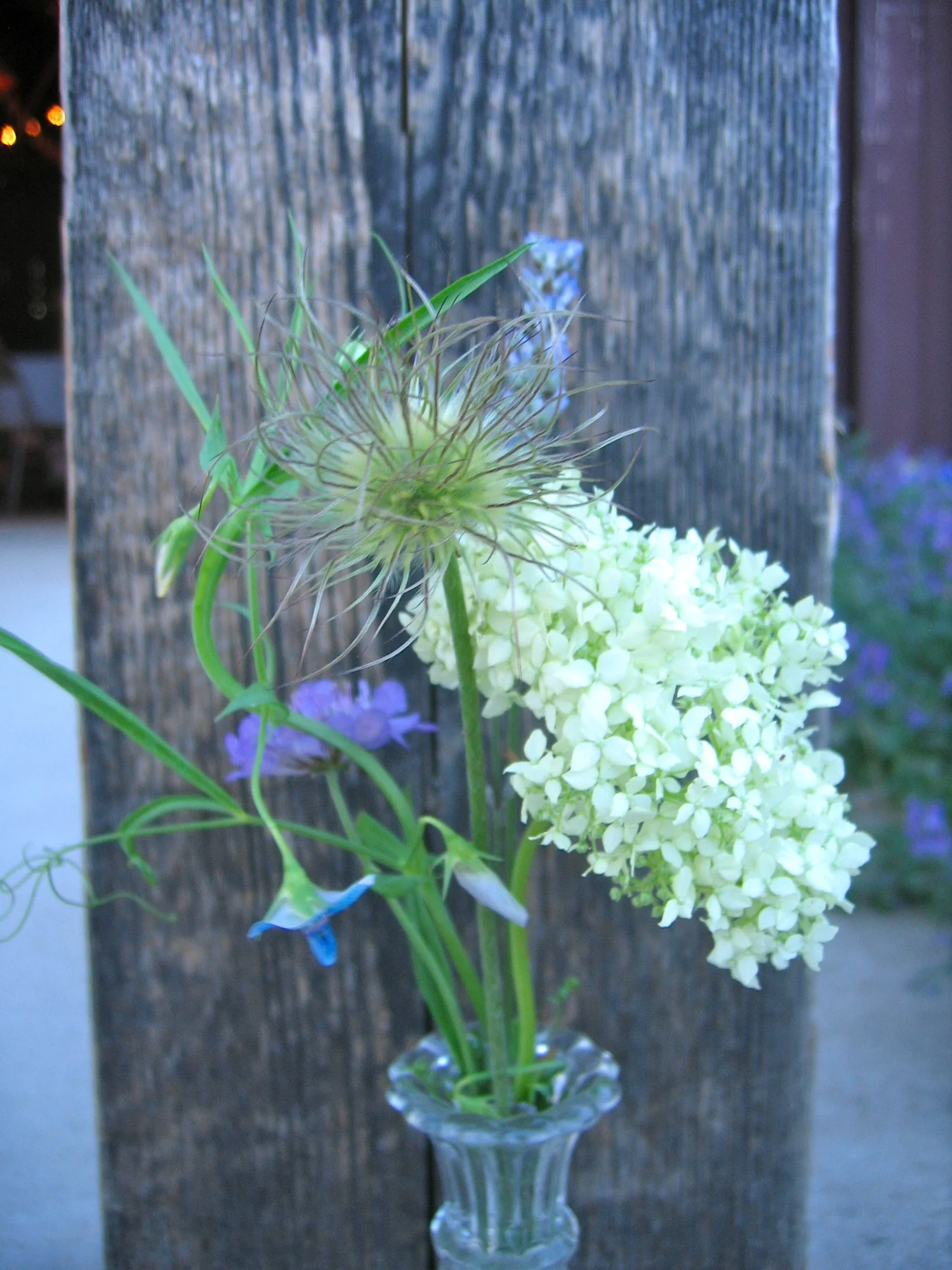 july azeurus sweet pea, pasque flower seed head, scabiosa, hydrangia, lavender