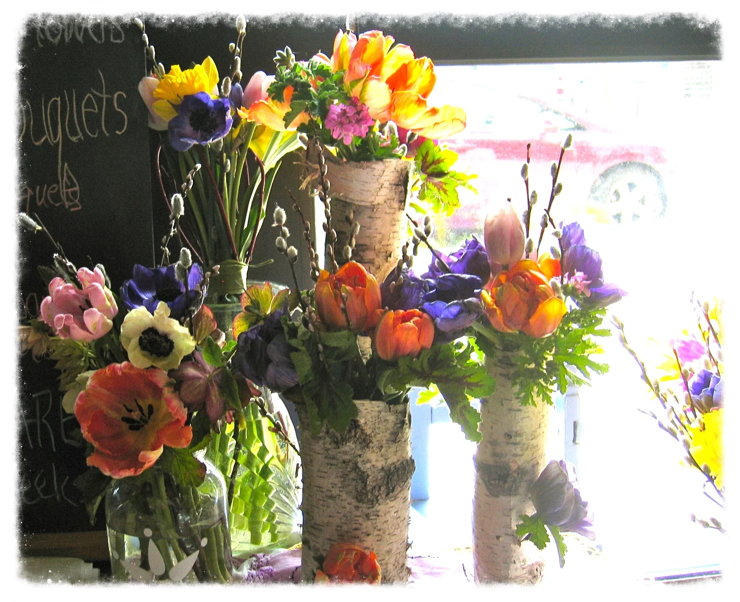 May tulips & anemones w/ foraged birch bark vases
