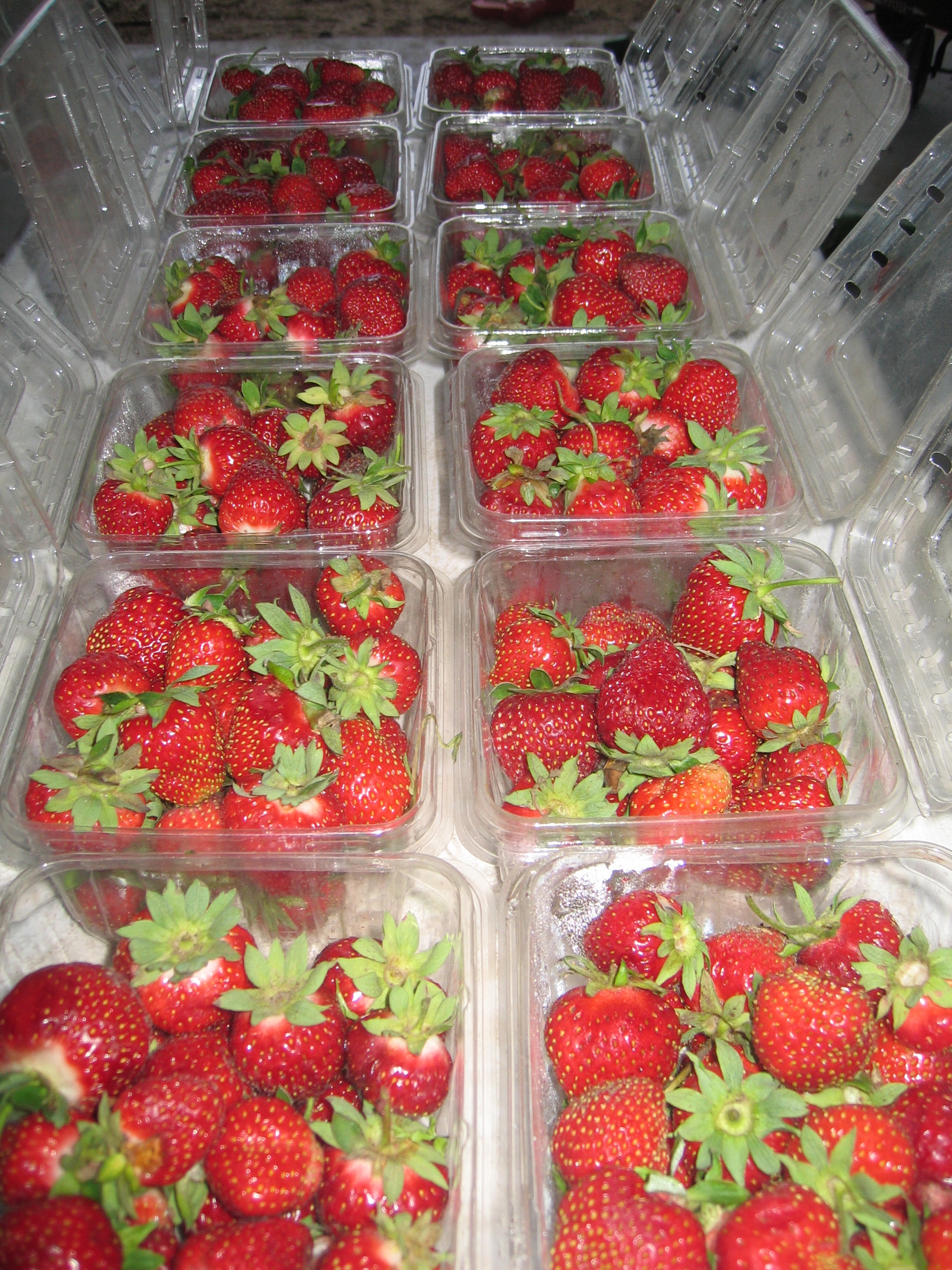 strawberries