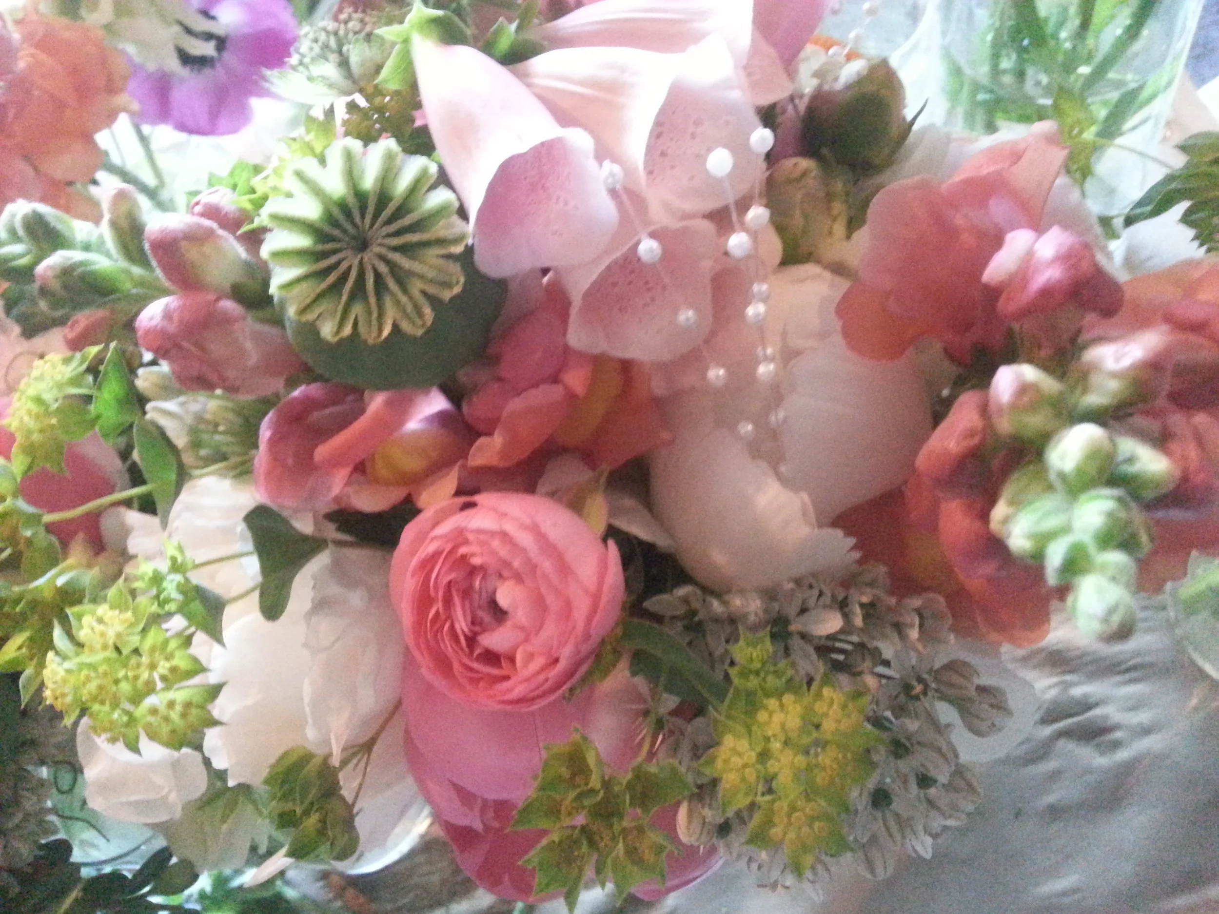 20160624_060304.jpg
