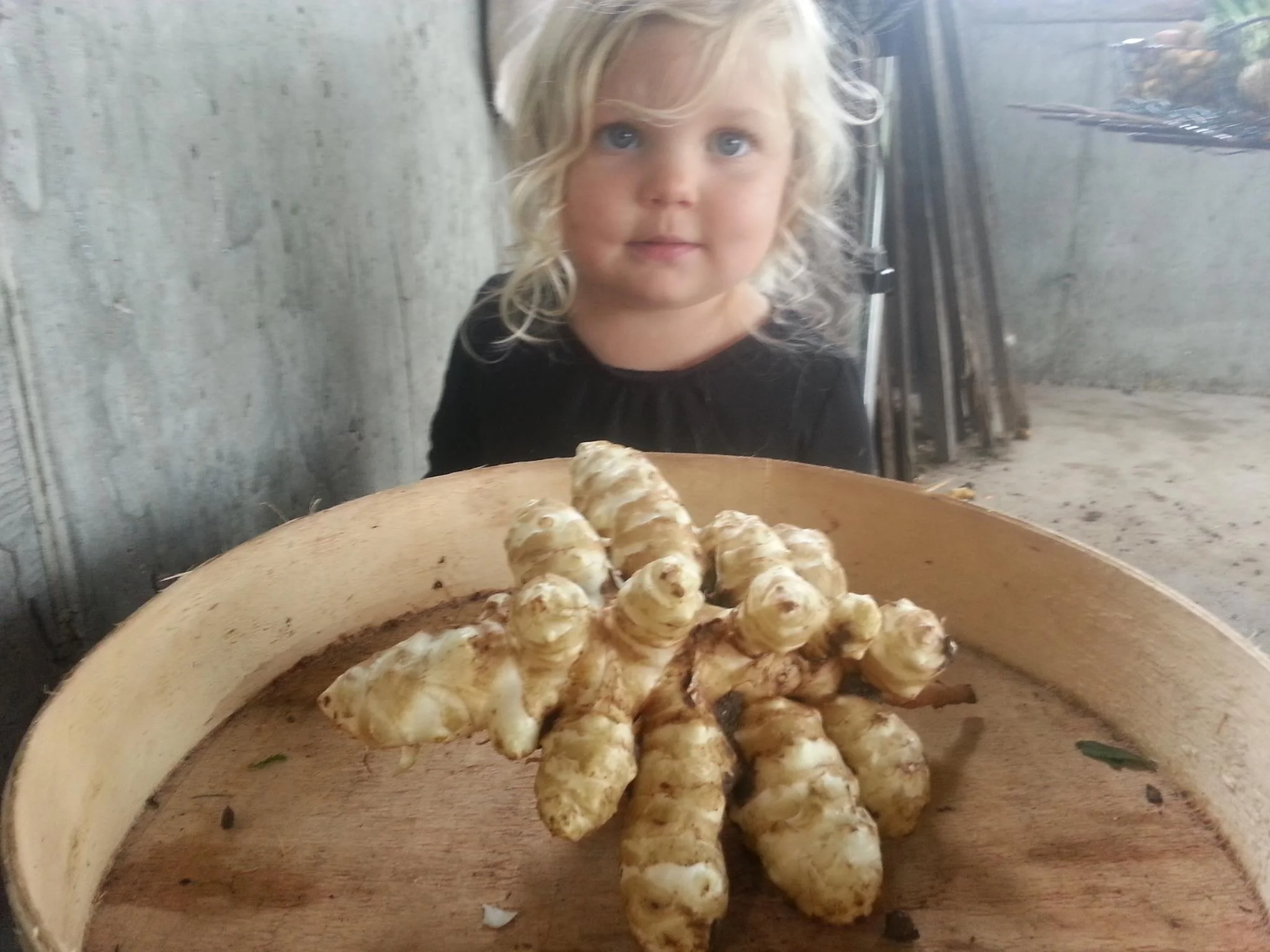 summer and sunchoke.jpg