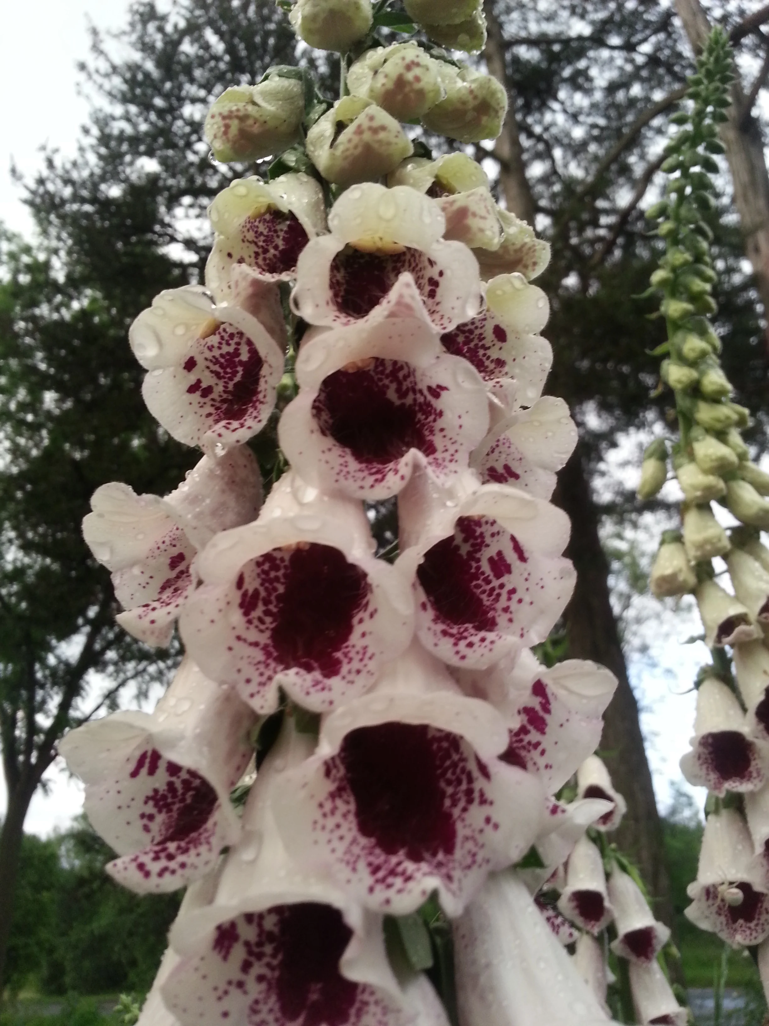 20160615_203113.jpg