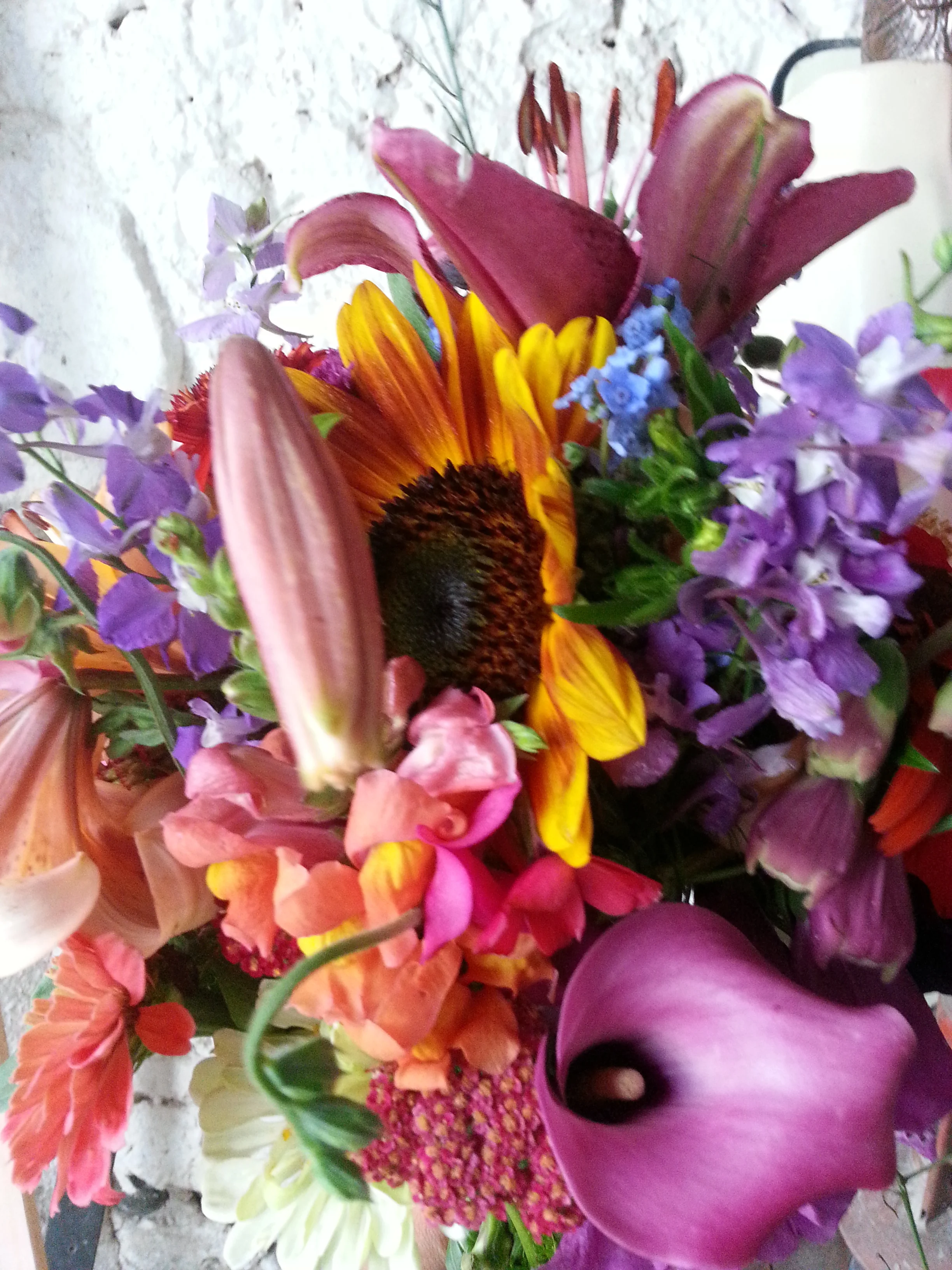 20160707_142858.jpg