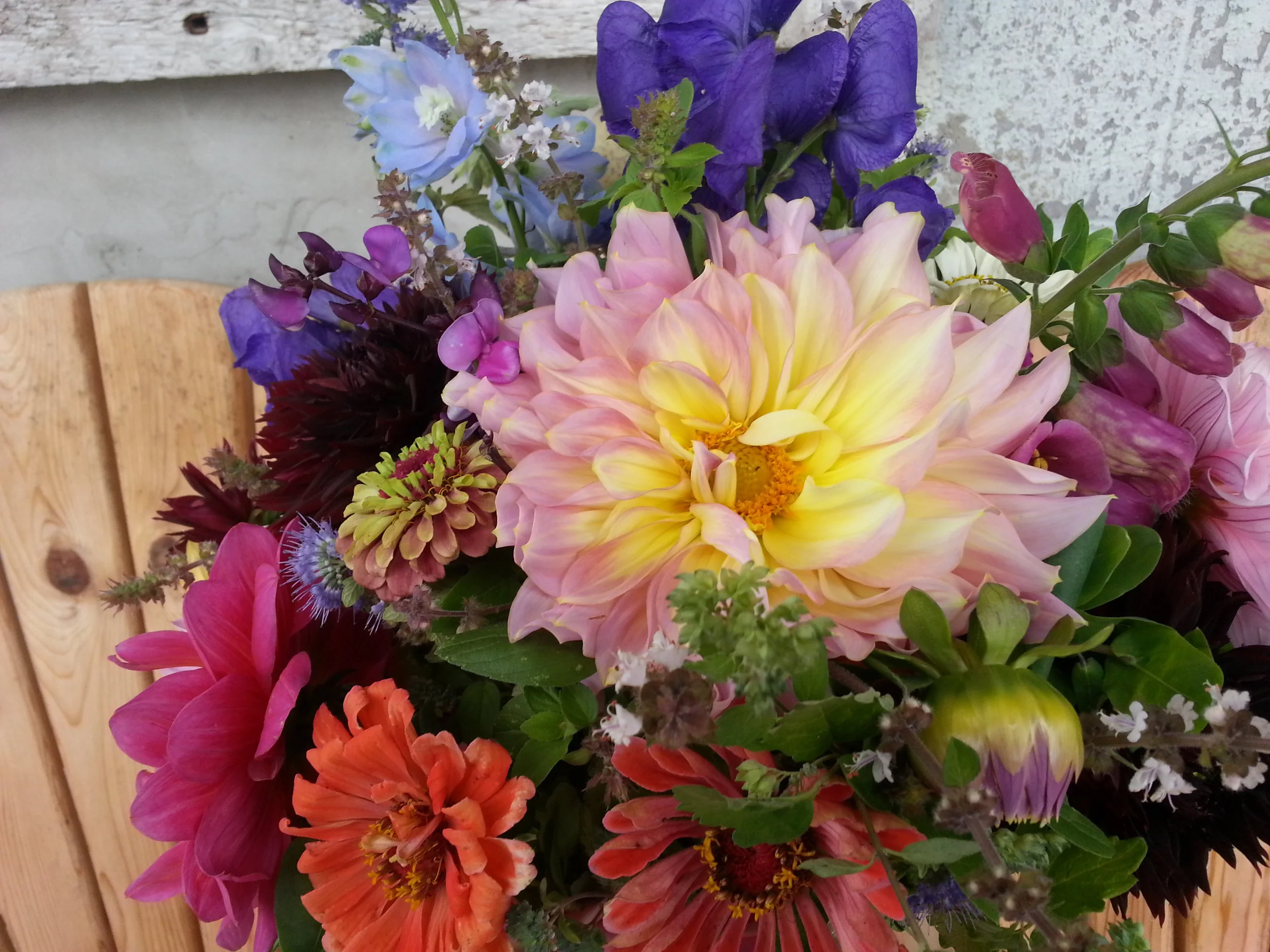 20161015_140947.jpg