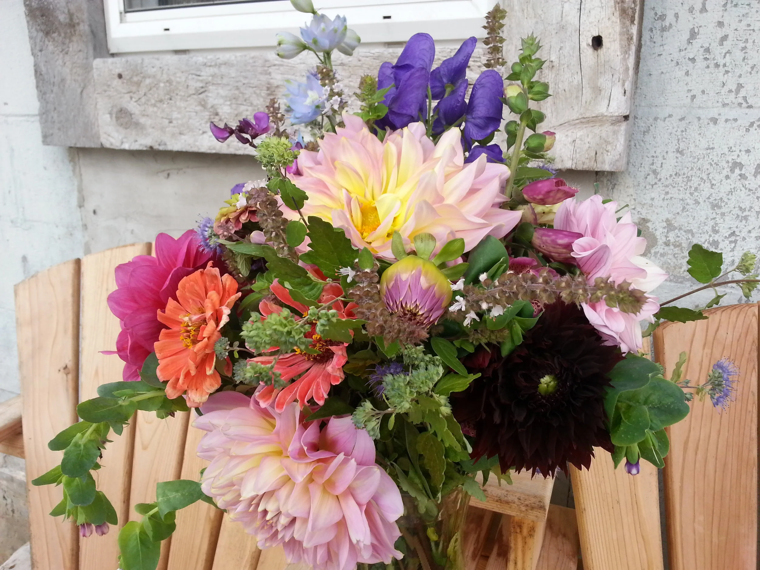 20161015_140920.jpg