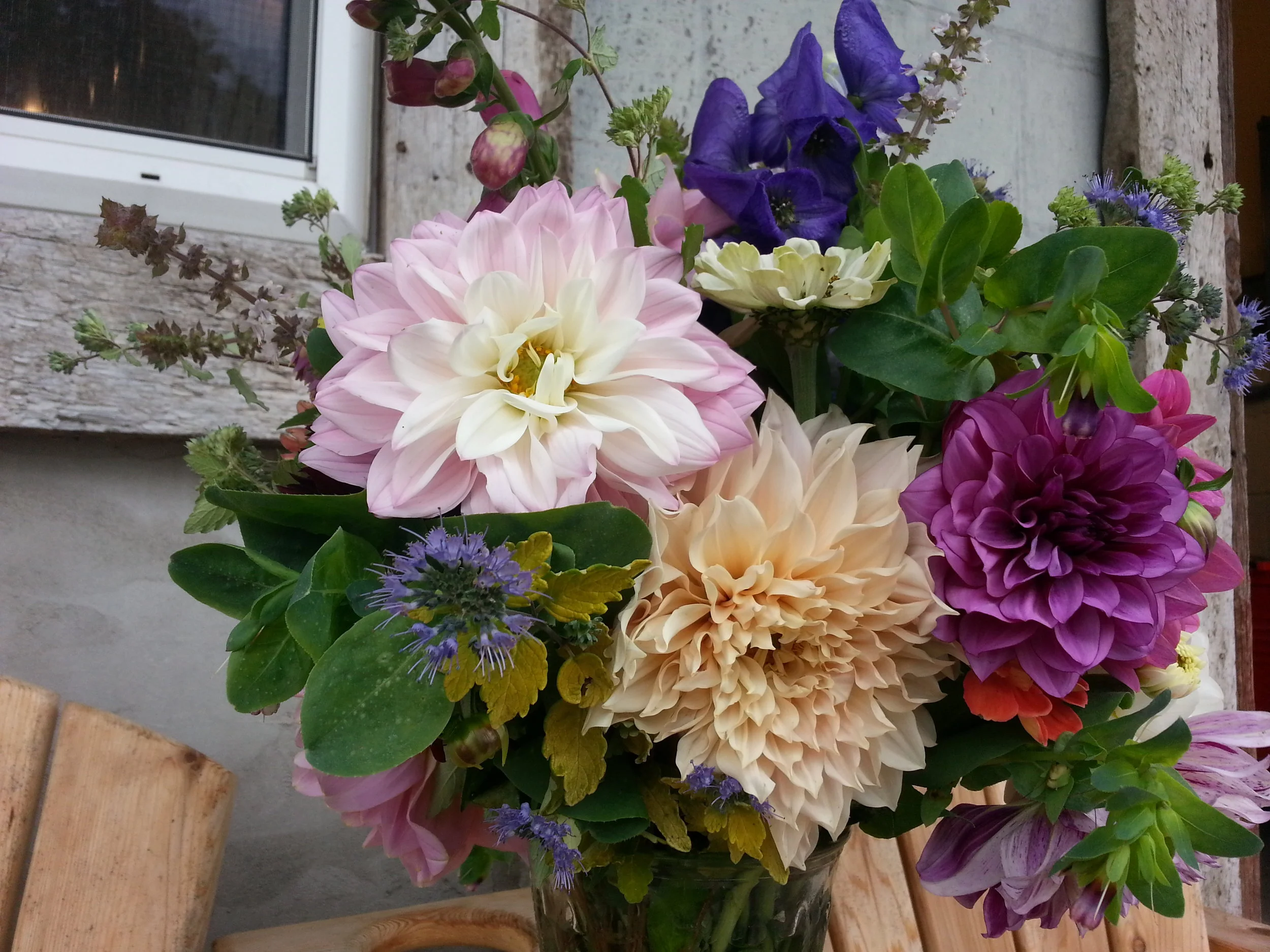 20161015_141033.jpg