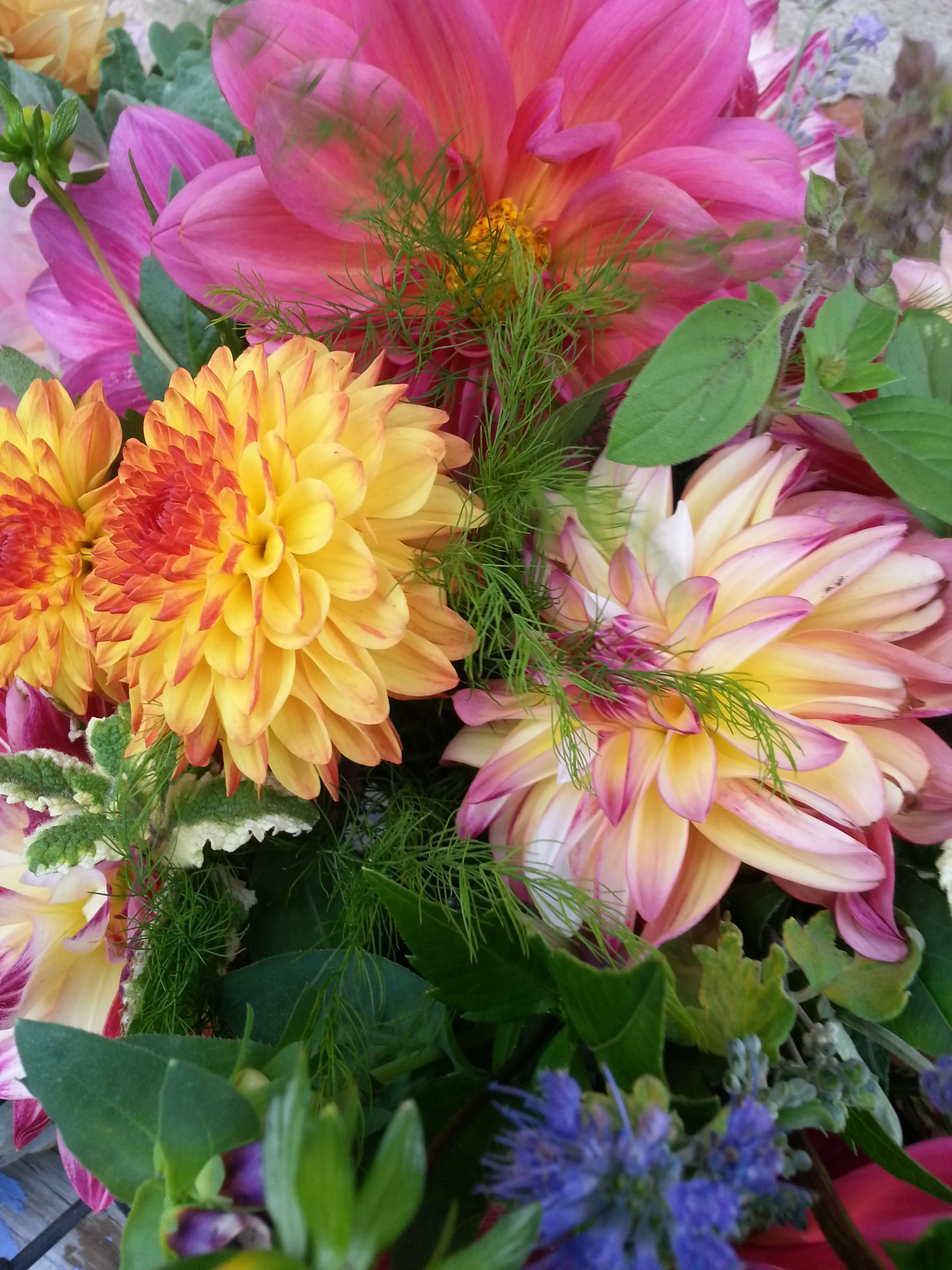 20161015_141725.jpg