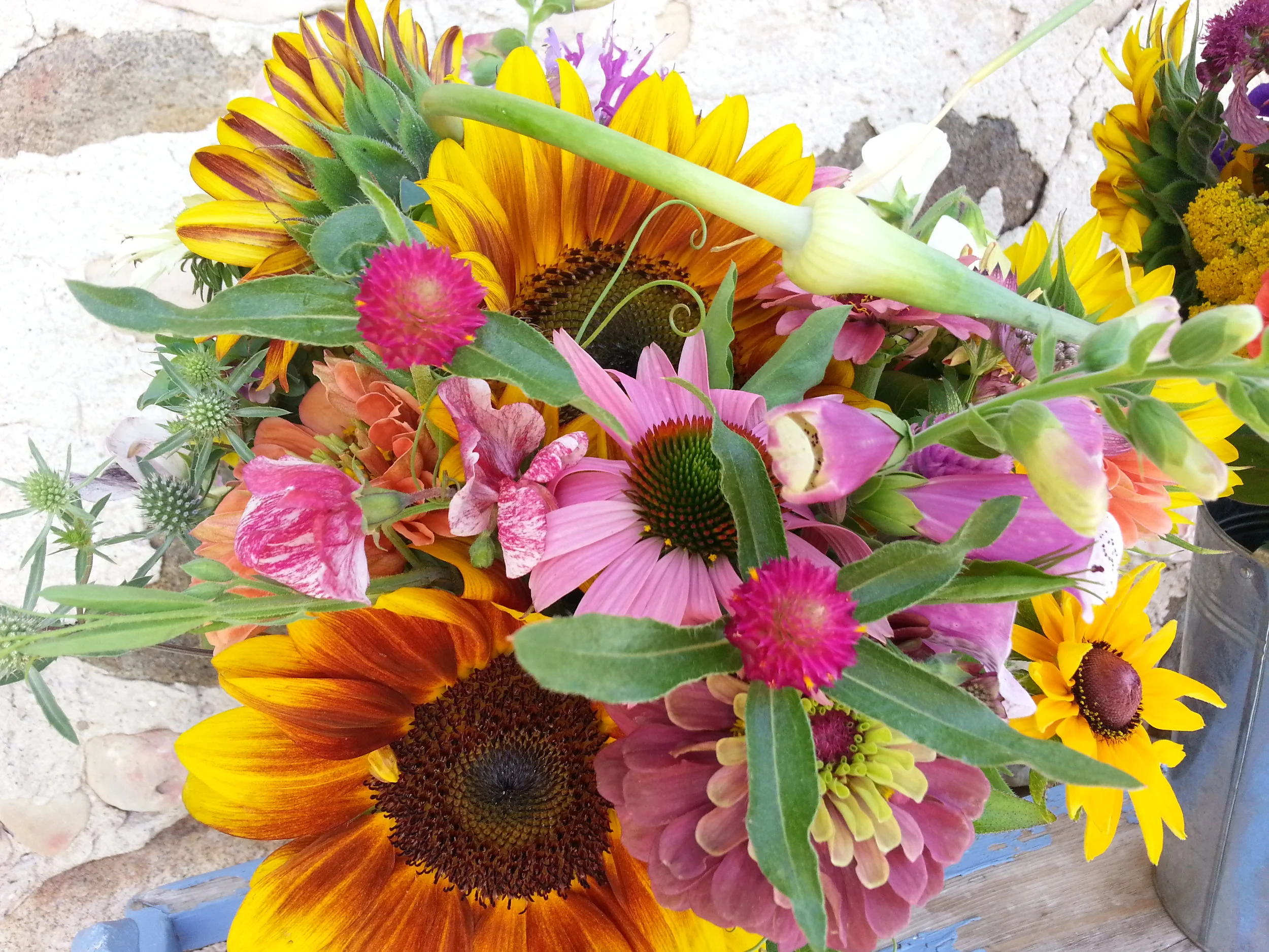 20160712_134556.jpg