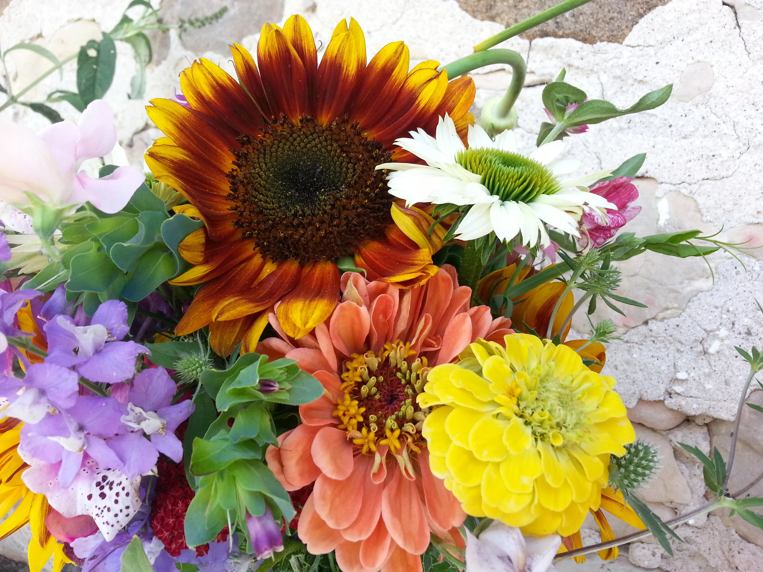 20160712_134633.jpg