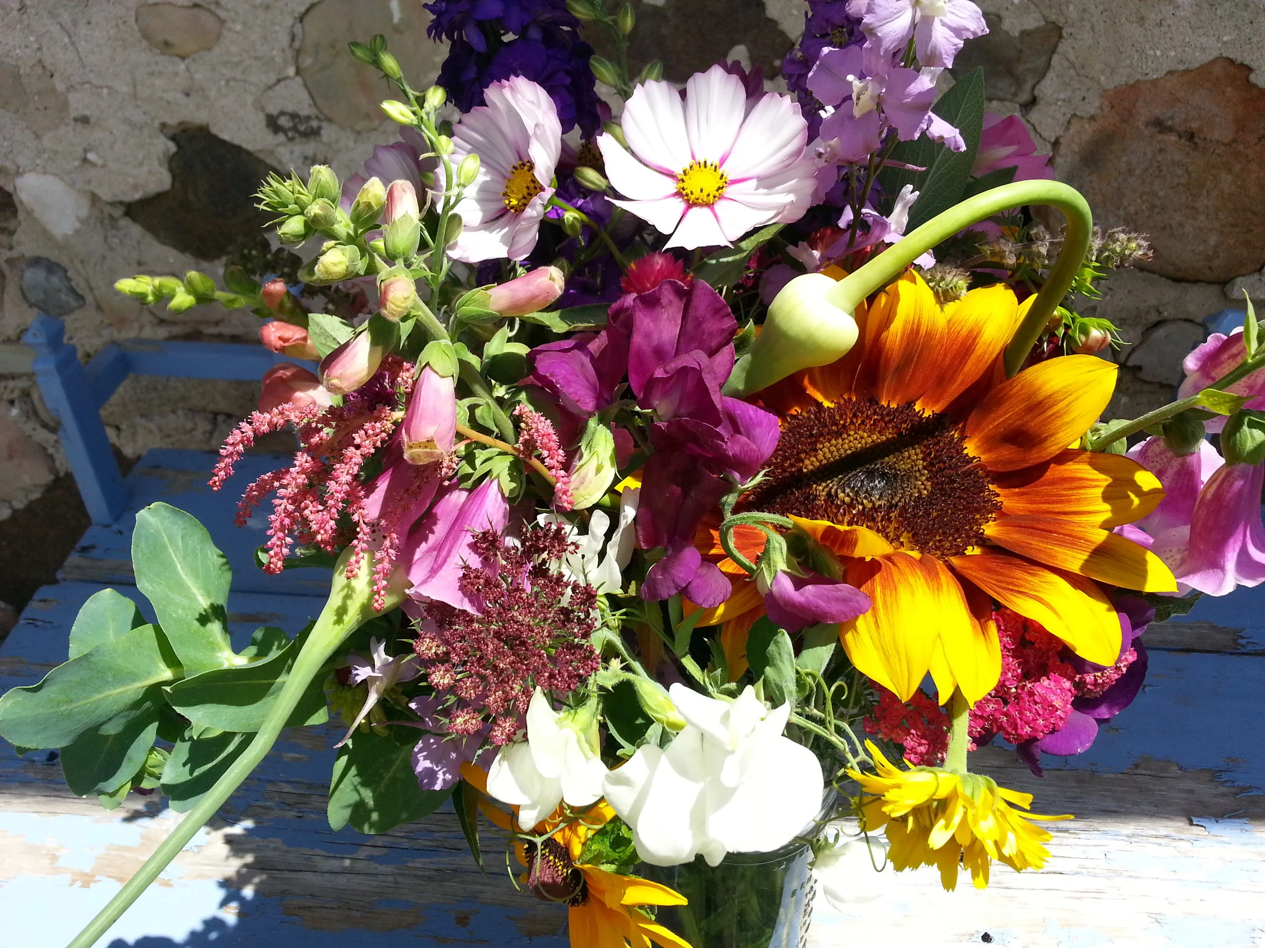 20160712_134842.jpg