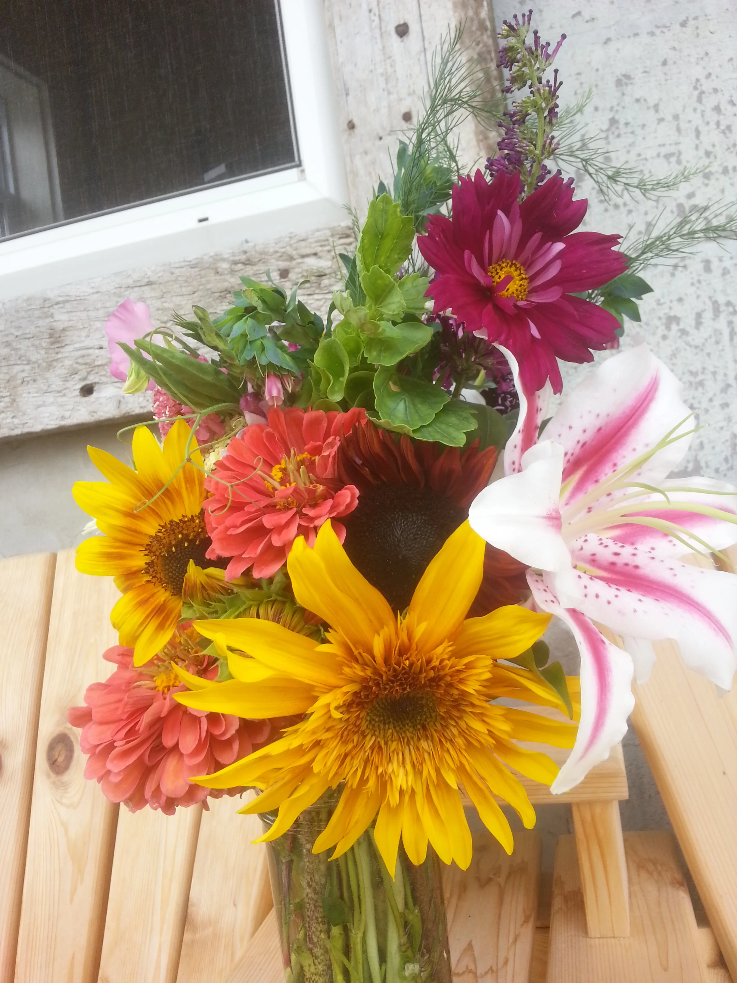 20160728_151356.jpg