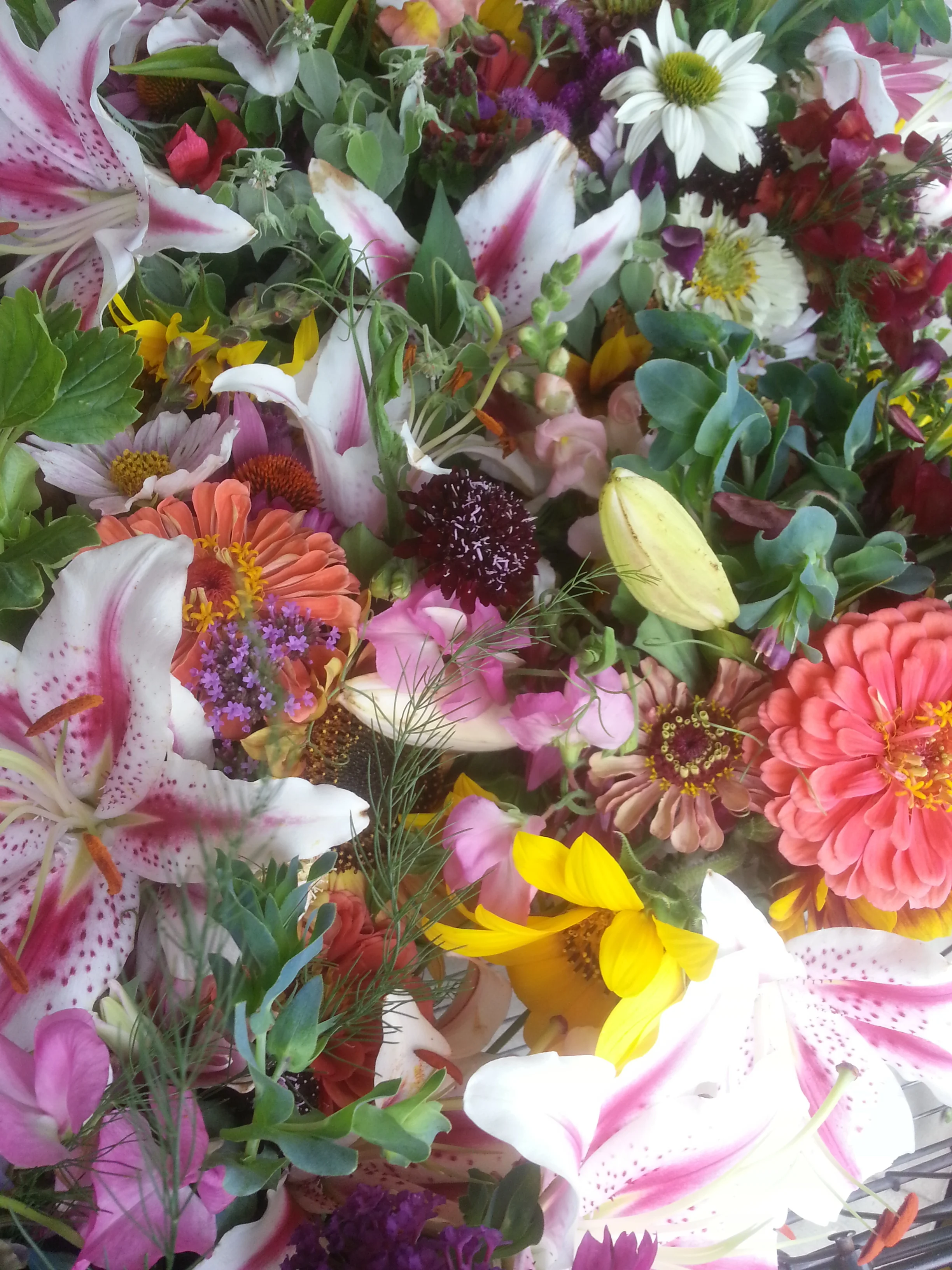 20160728_151426.jpg