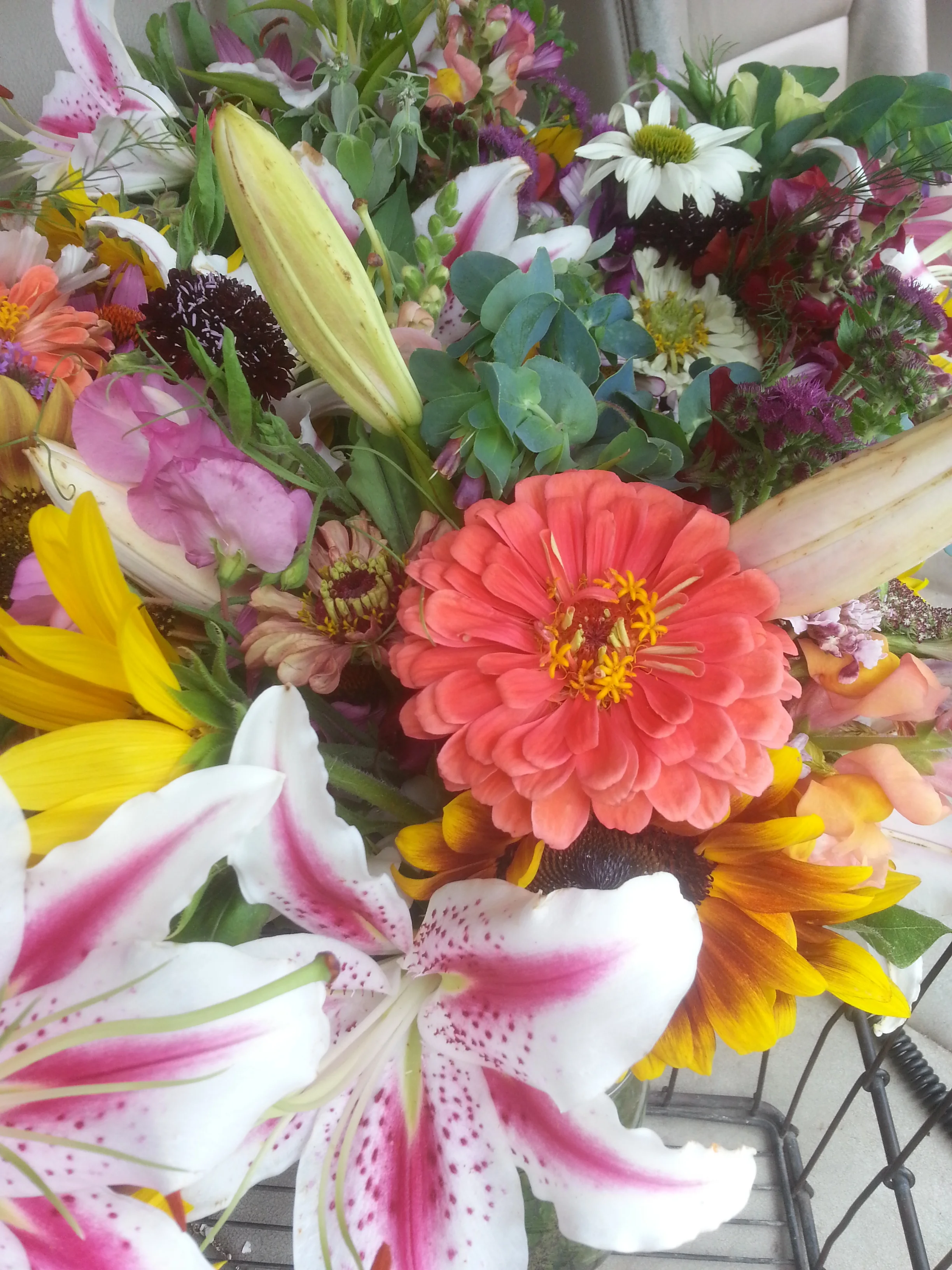 20160728_151432.jpg