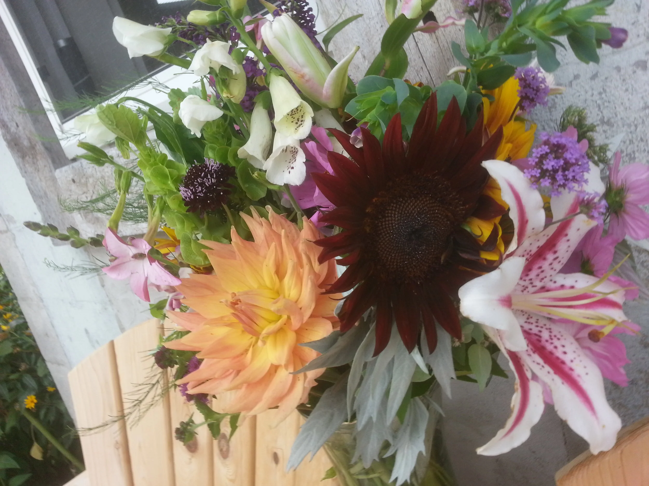 20160728_151606.jpg