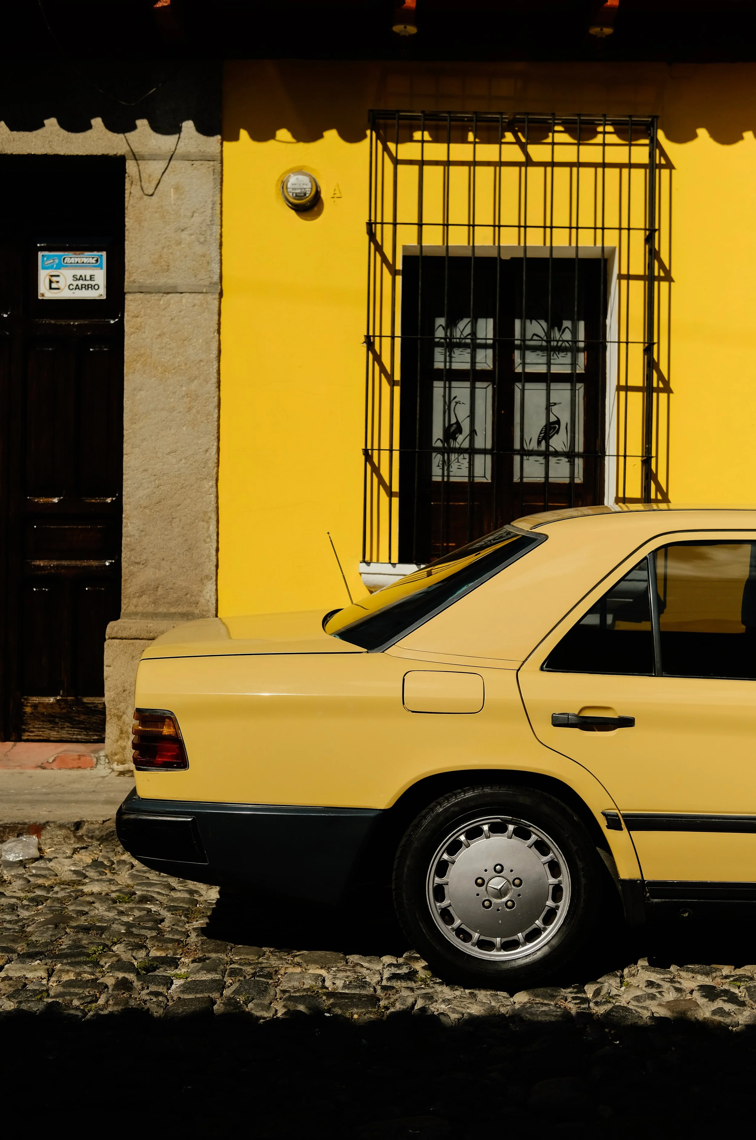 Ryan Neeven x Antigua (7 of 48).jpg