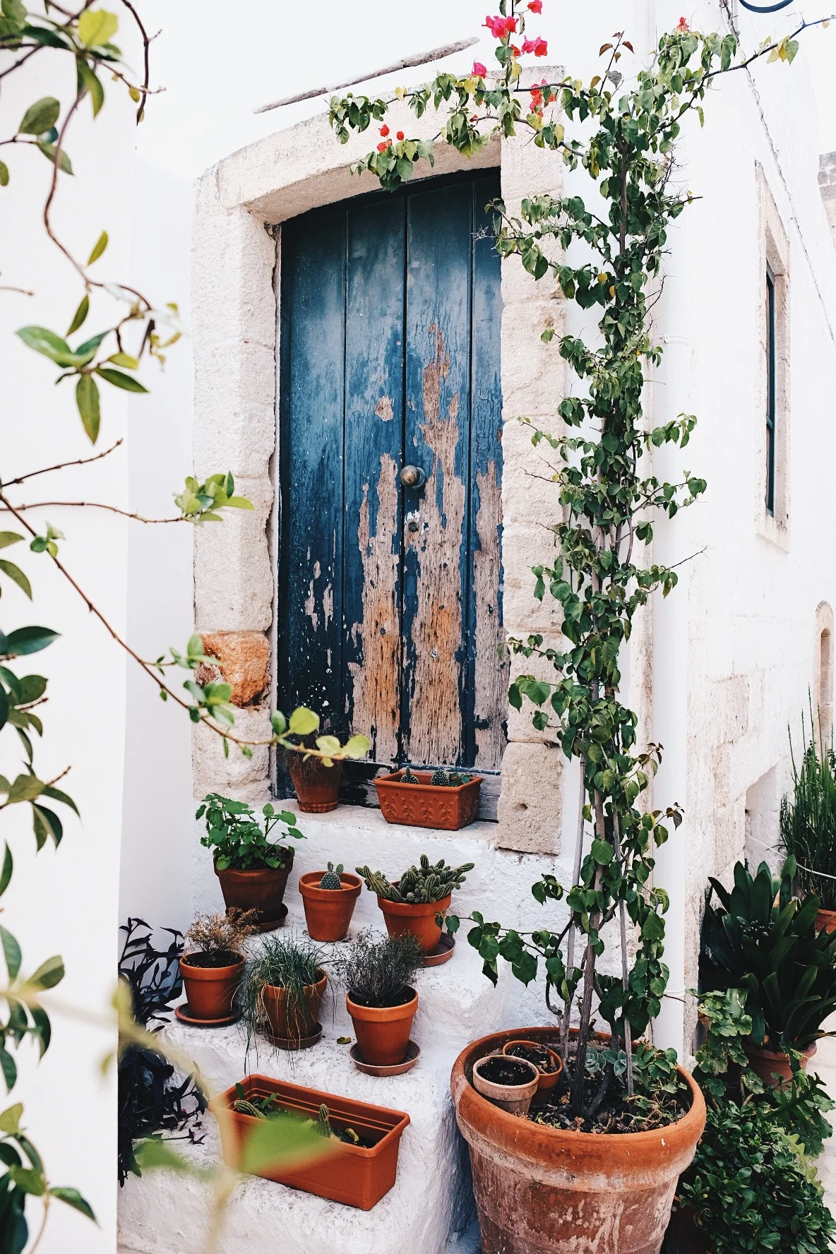 7880496C-6D83-49F0-8DC2-F4281FA7B366 2.JPG