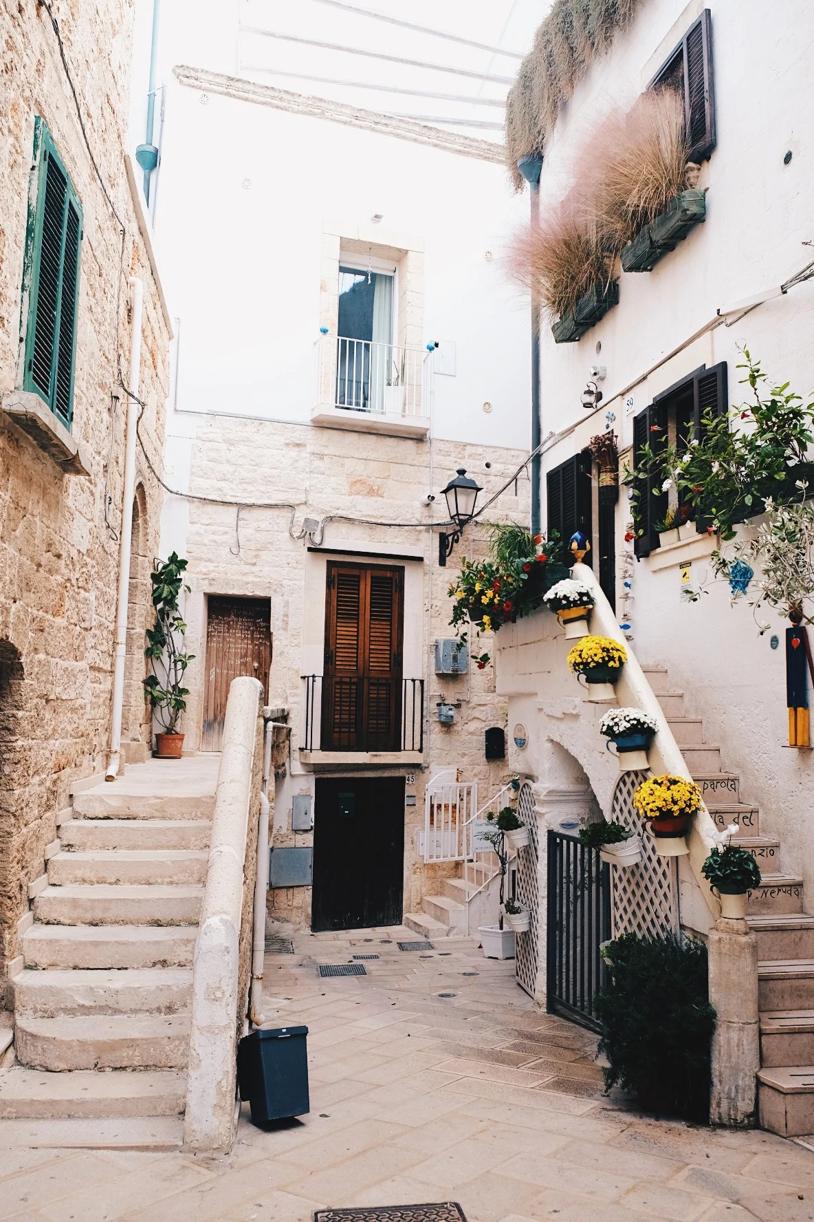 69089738-FD2A-460B-9909-B2D71003513C 2.JPG