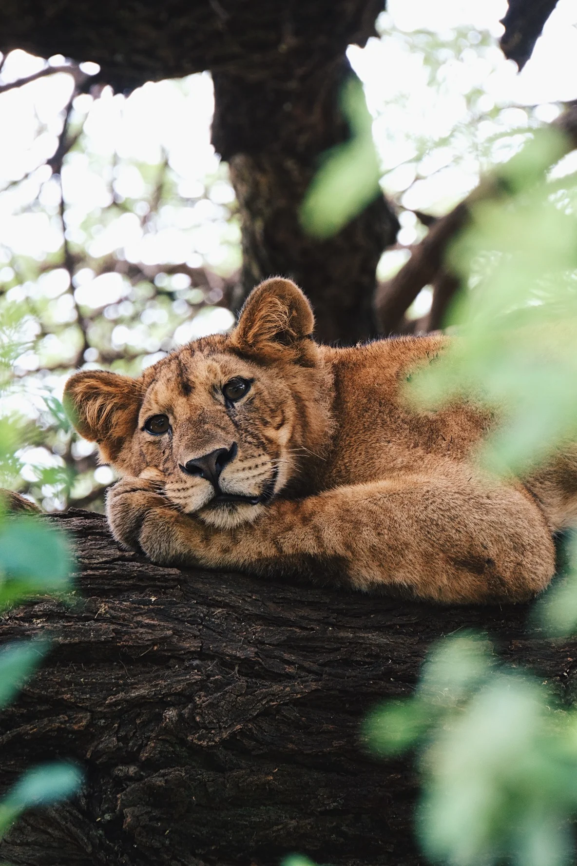 E309AF79-A9B0-4647-9C27-BB0342525265 2.JPG