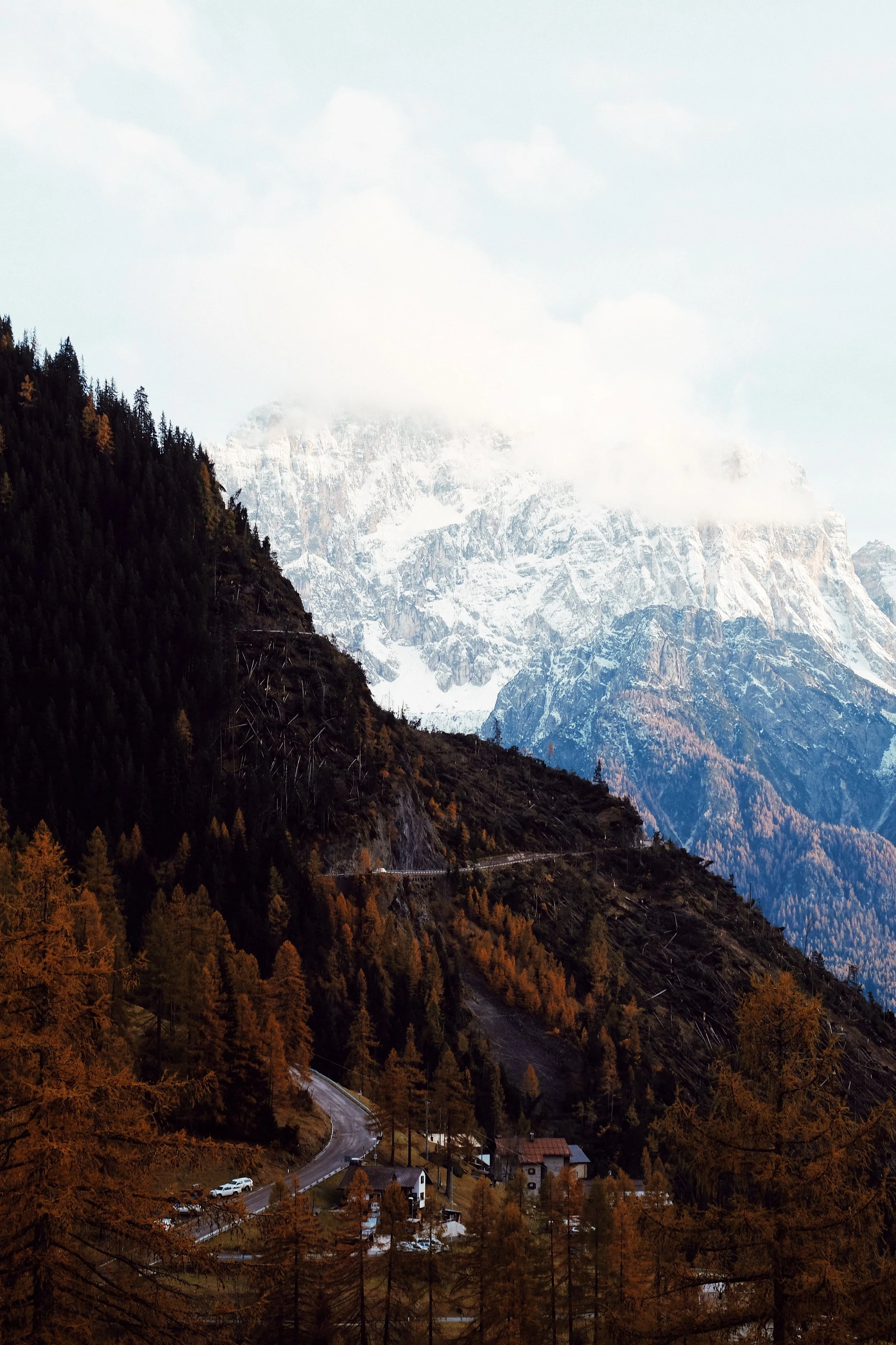 1579E1D2-4B9B-4266-8CB5-9AE38B0B06BB 2.JPG