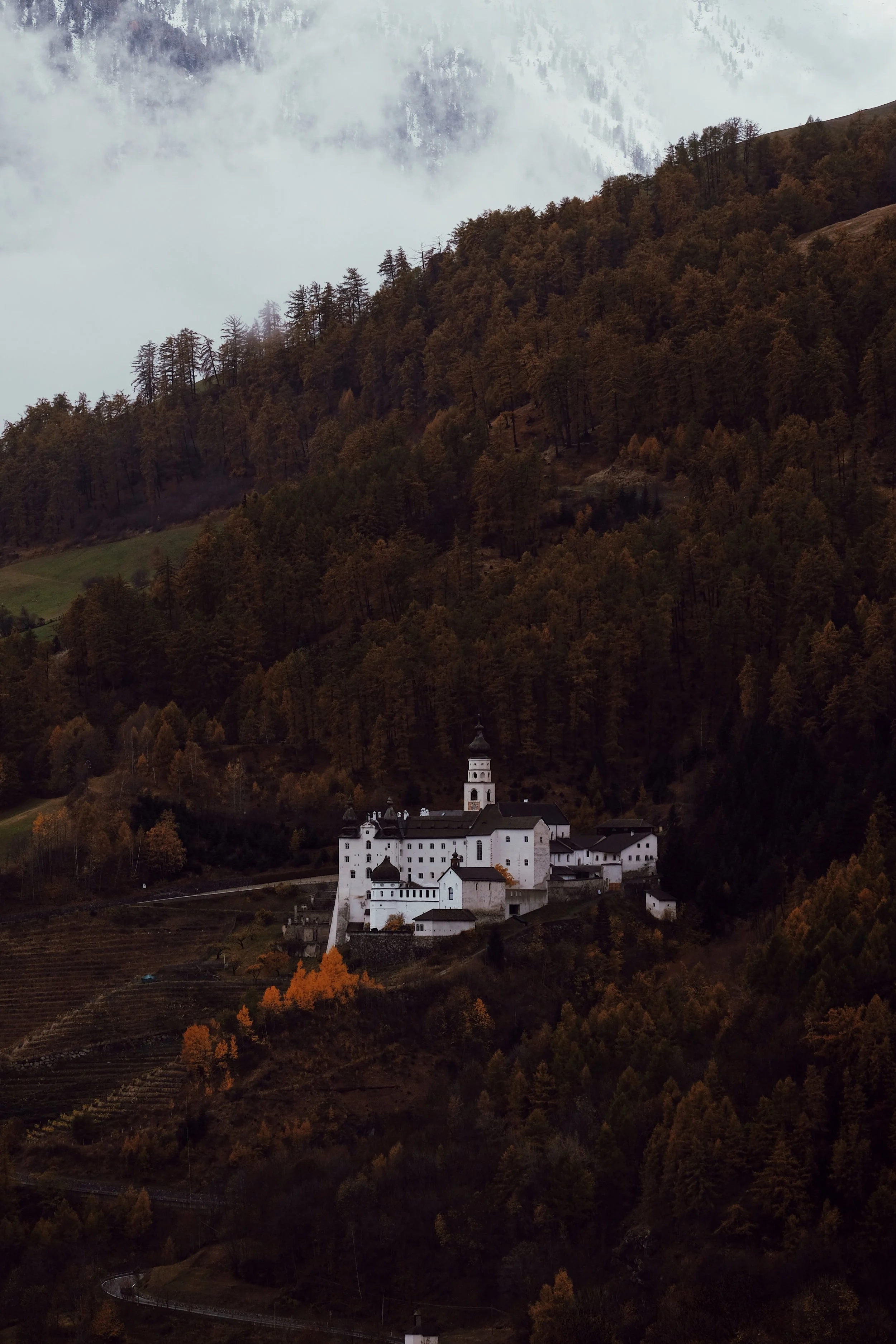 5B9A3361-C29E-472B-847E-D6A52B4B6E4E 2.JPG