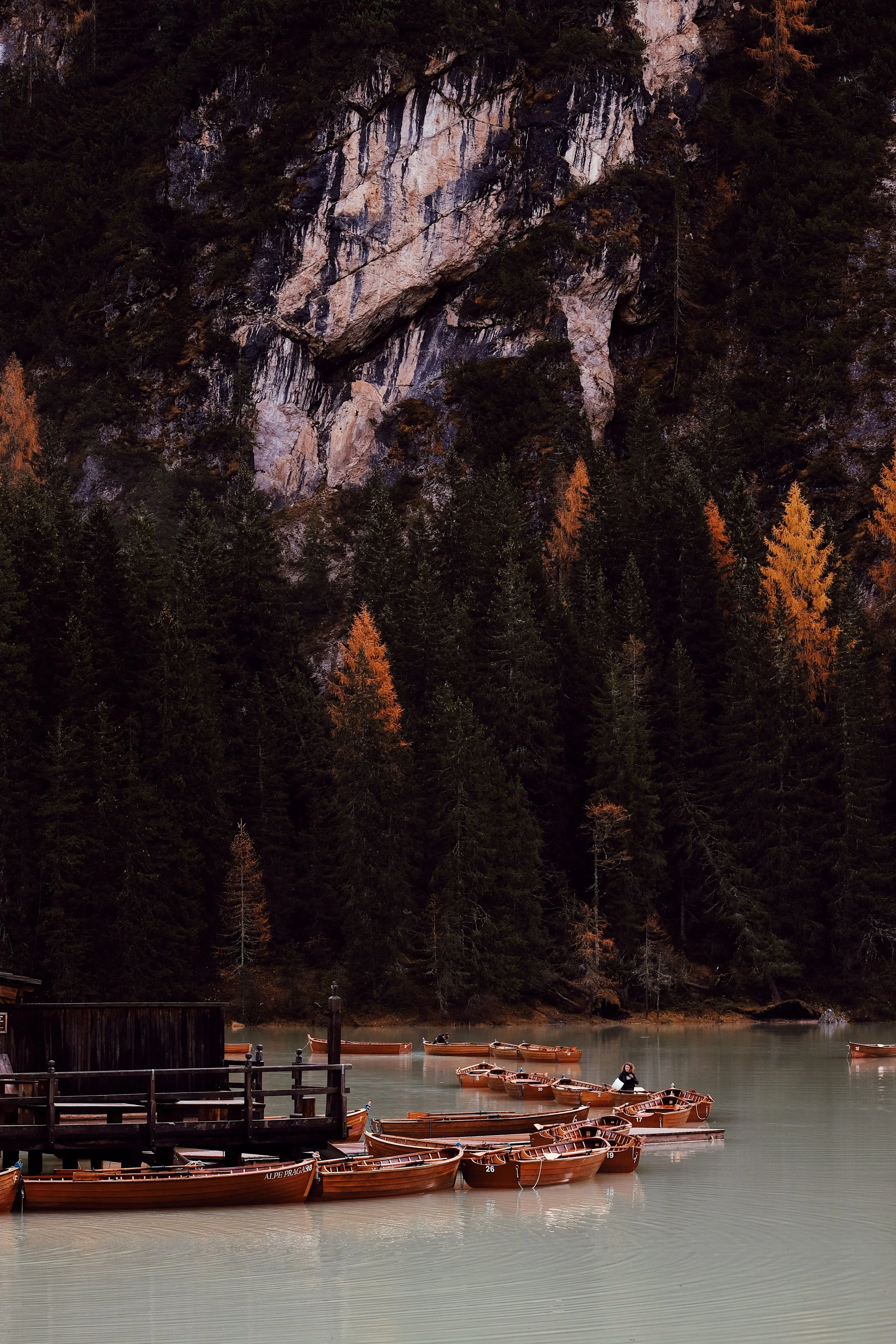 01188559-FC7F-4545-A815-D37B43005DEB 2.JPG