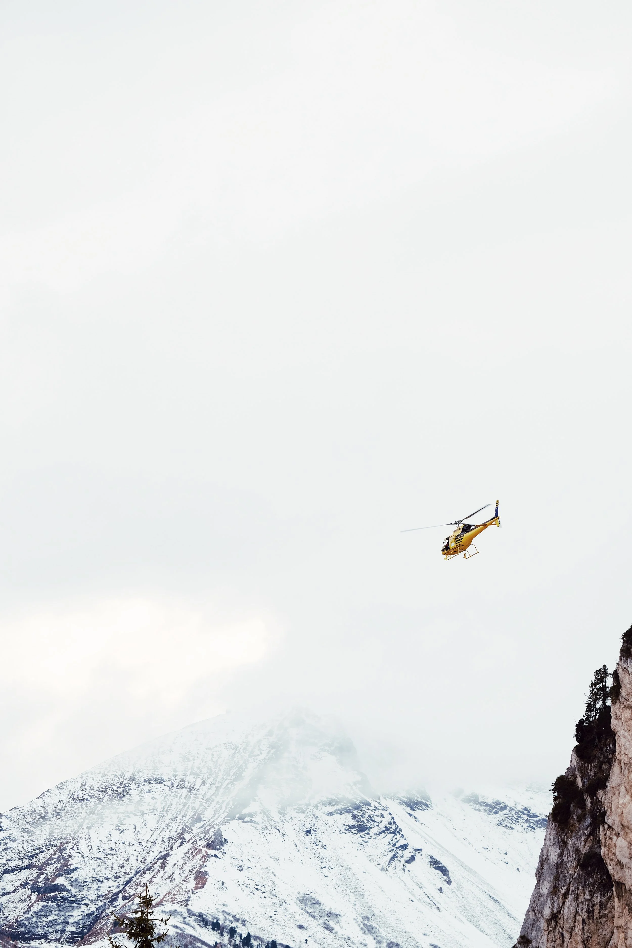 0E36FAD7-4EB2-4AFA-9DF5-76AF3710279E 2.JPG