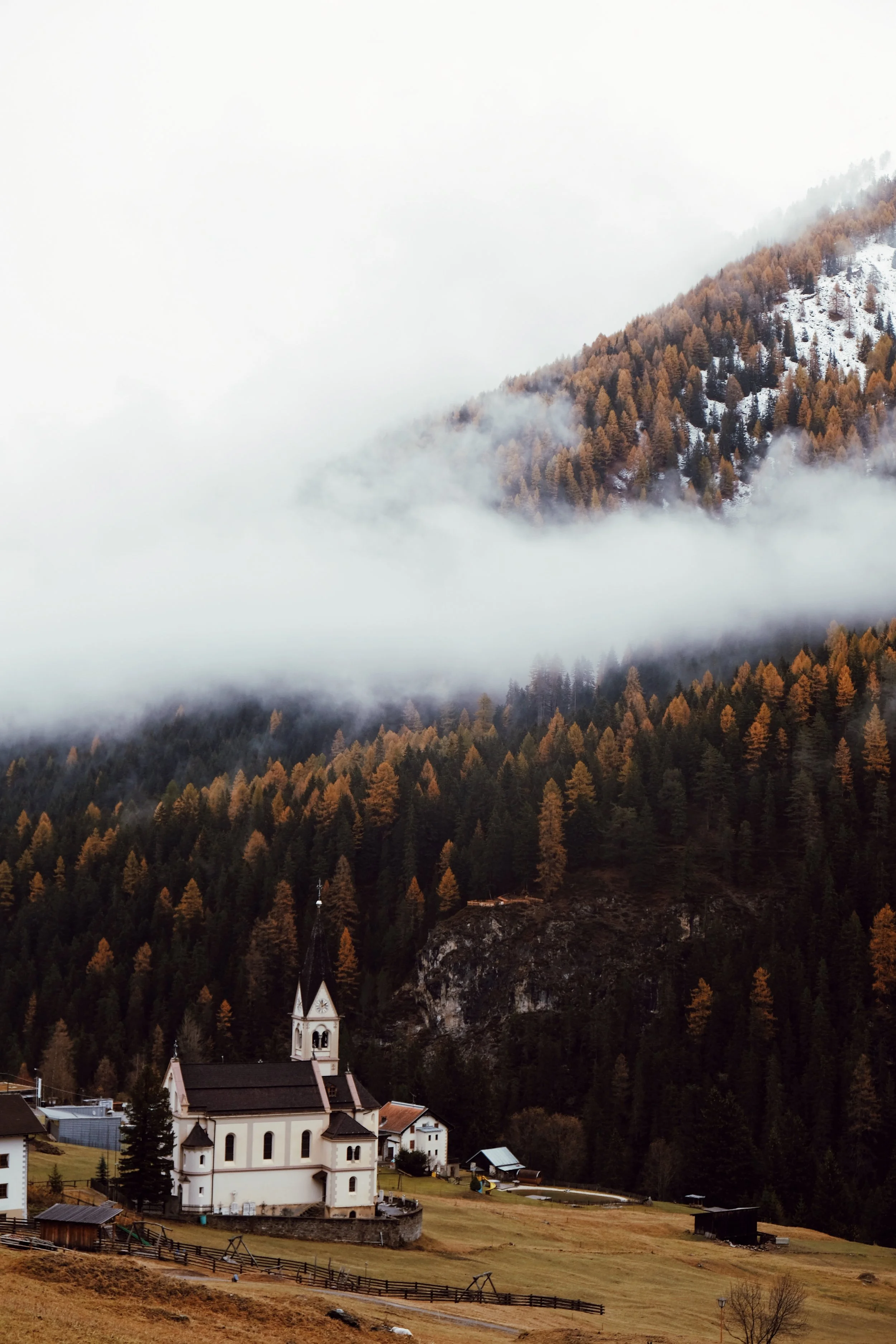 4D8D419D-D662-49CC-9D85-C2013D410496 2.JPG